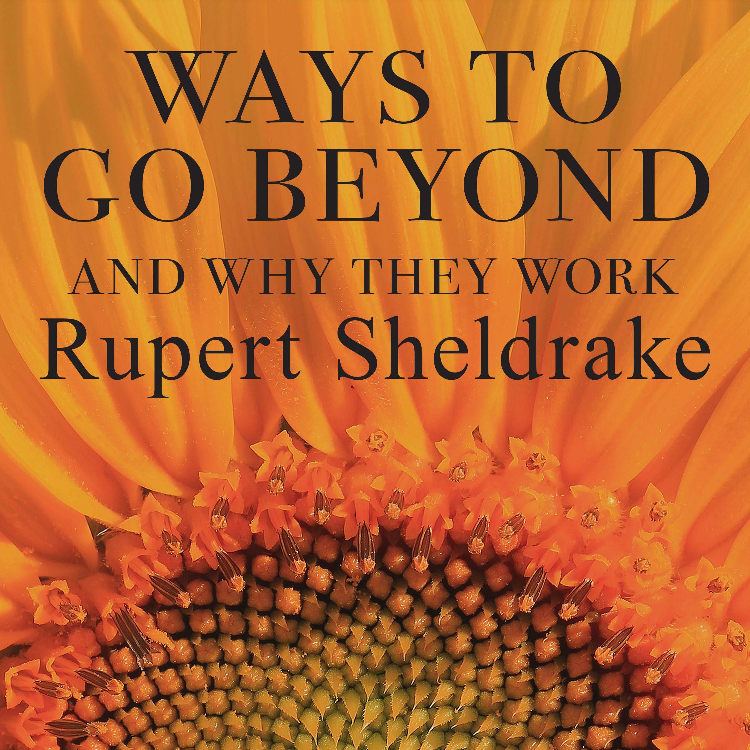 Cover art for Ways to Go Beyond and Why They Work