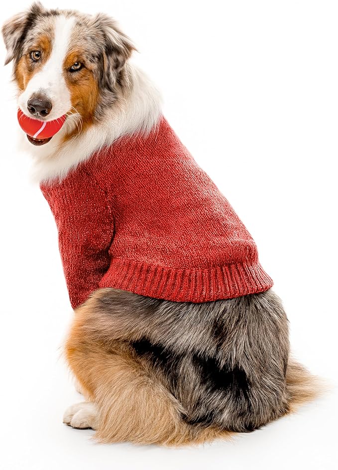 Juguete para Perros Playology Pelota Squeaky Masticable Jumbo Sabor Gravy miniatura 3