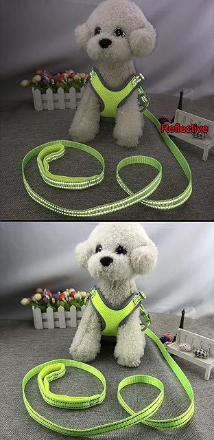 Foto 2 de 7 de Newtensina Arnés de Malla para Perros Arnés para Cachorros Transpirable con Correas Reflectantes de poliéster