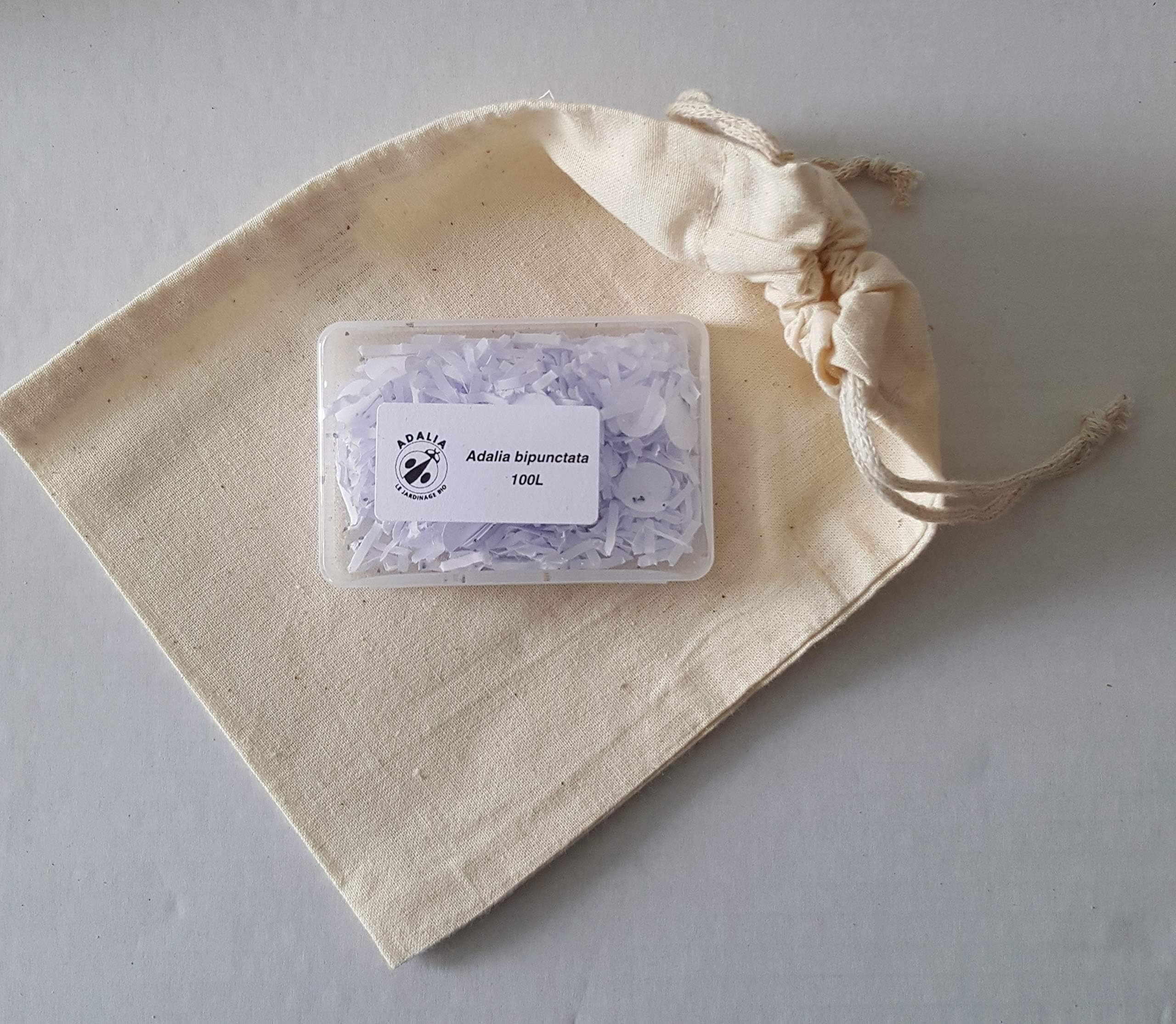 Ladybird Larvae with Release Bag for pest Control in Trees and conifers (100)