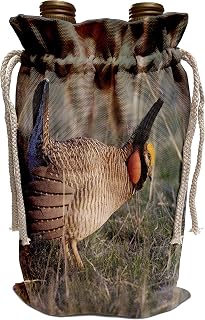 3dRose Danita Delimont - Birds - Lesser Prairie-Chicken bird, Panhandle, Texas - NA02 RNU0664 - Rolf Nussbaumer - Wine Bag (wbg_84538_1)