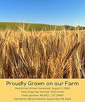 Vista 17 de Granos de trigo duro rojo de invierno transgénicos, 100 % sin irradiar. Certificado Kosher Parve. Cultivado en EE. UU. Registro de campo