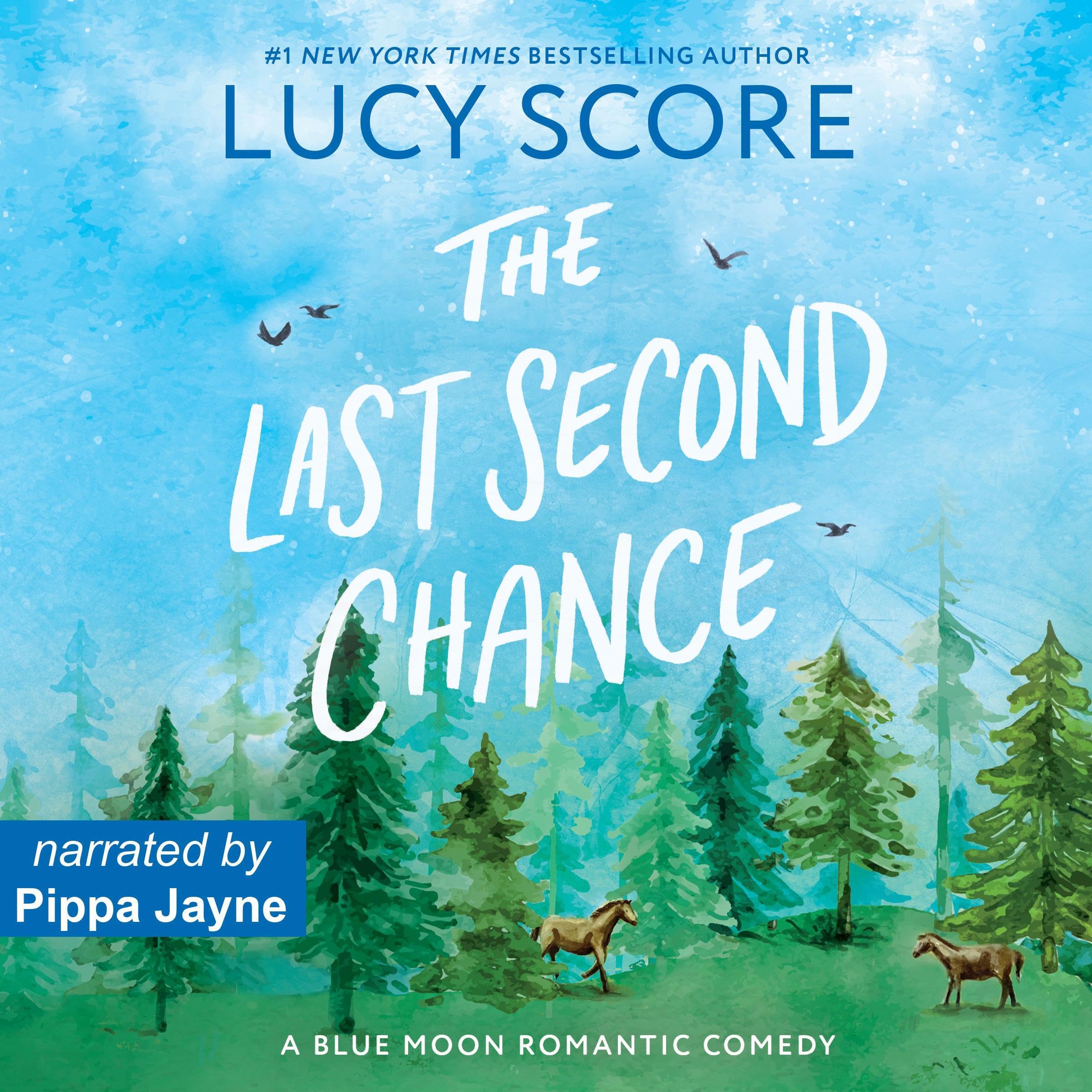 Cover art for The Last Second Chance
