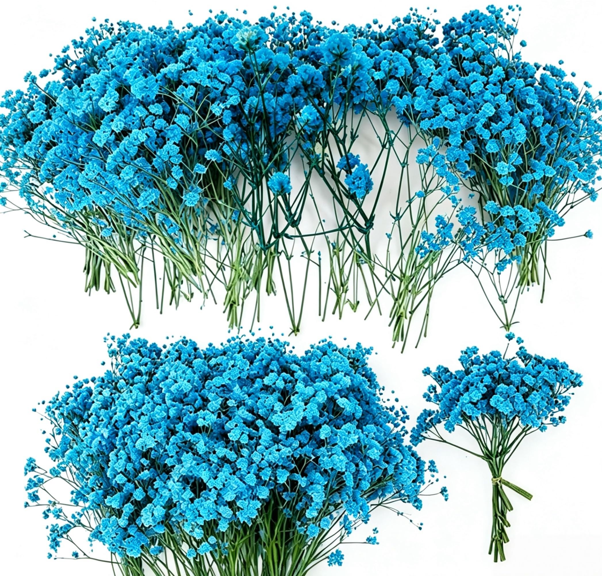 Pnoyws 100pcs Natural Dried Baby’s Breath Flowers - Preserved-Dried Babies Breath Bouquet, Real Gypsophila for Wedding, DIY Crafts, Resin Art, Invitation Cards & Home Décor (Blue)