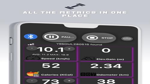 QZ AI Companion