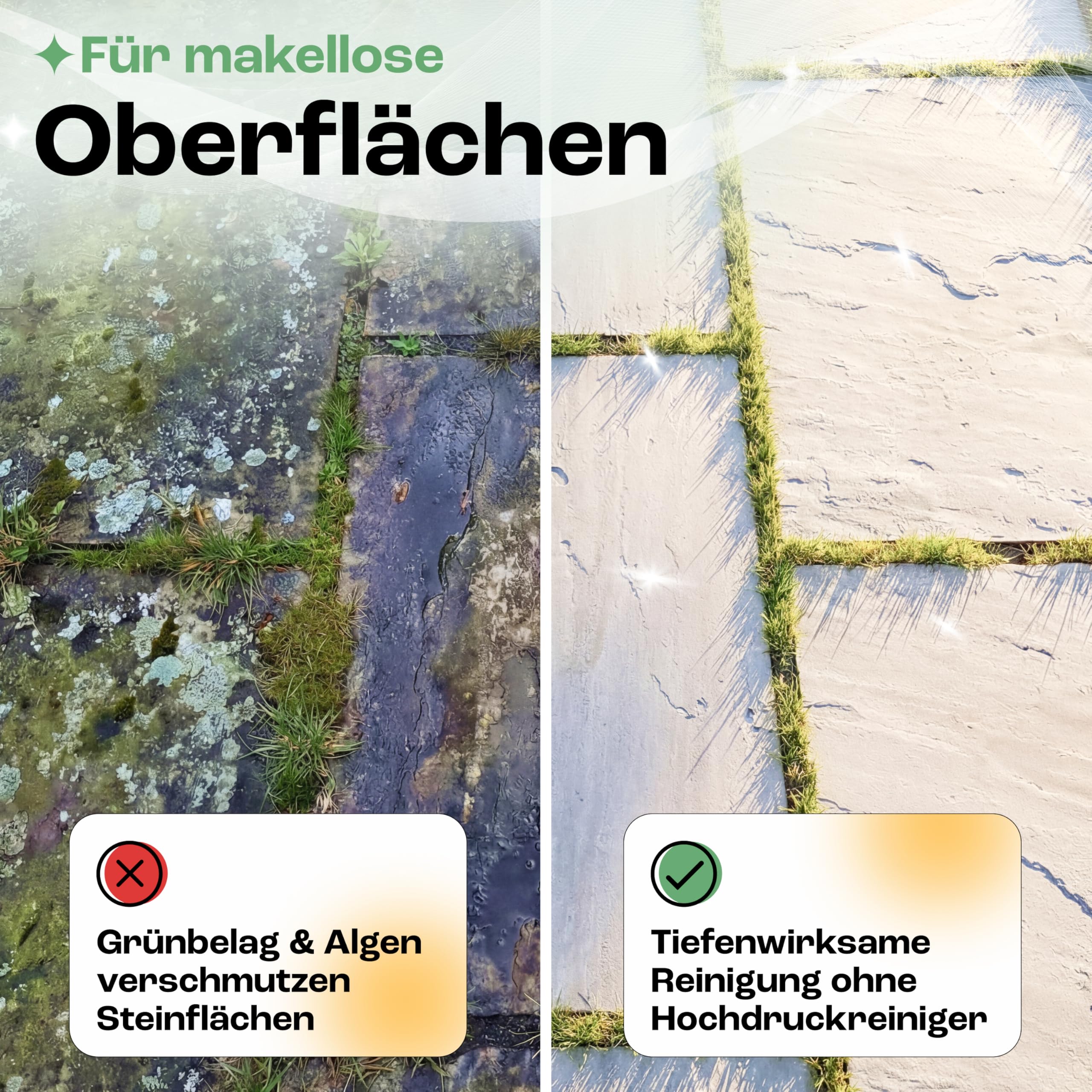 Treufix Steinreiniger Konzentrat 5L für Pflastersteine & Terrasse | Profi Steindusche Hof & Wege kraftvolle Reinigung gegen Schmutz, Algen, Grünbelag & organische Verschmutzungen – Made in DE