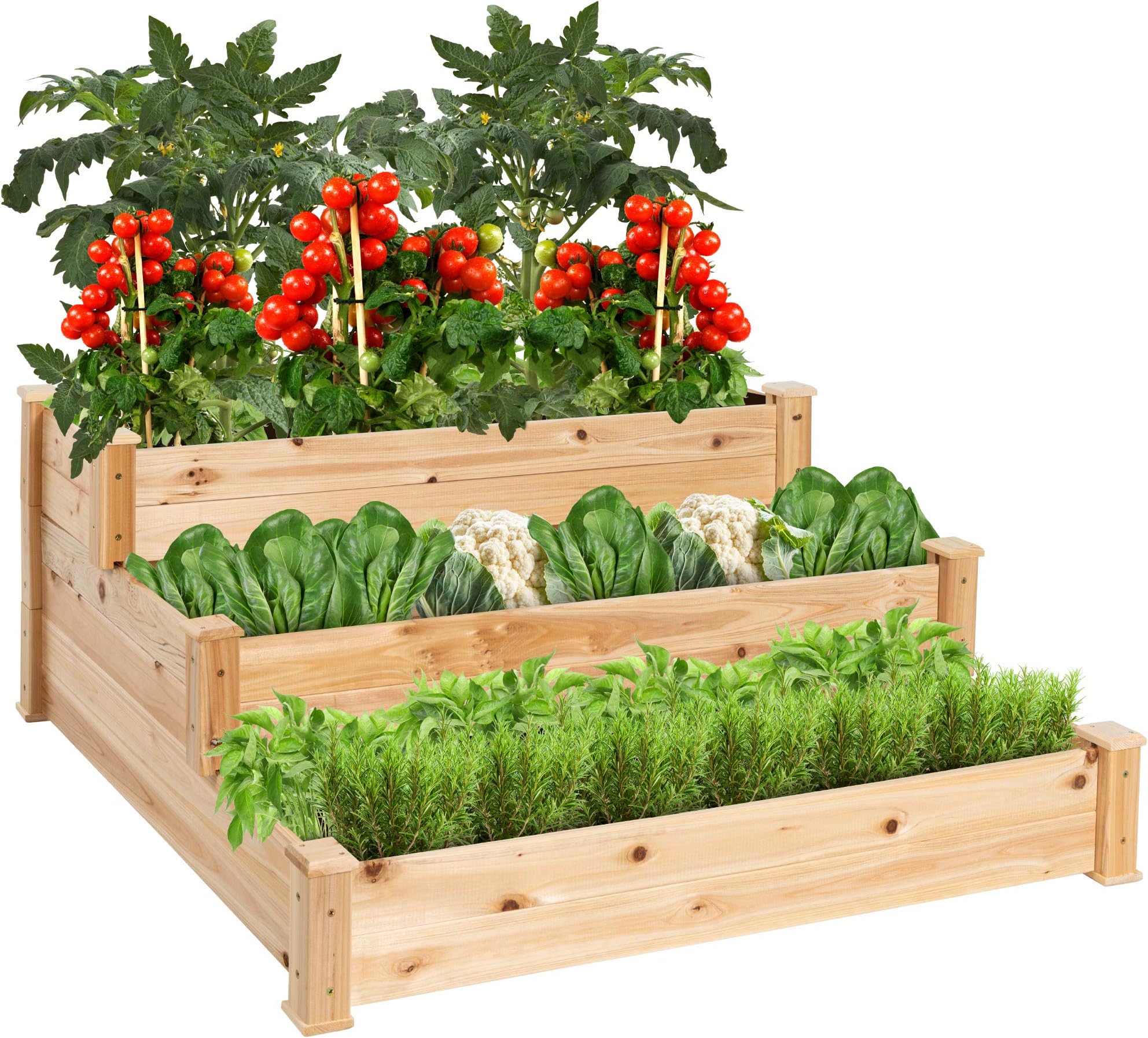 Best Choice Products Raised Vegetable Garden Bed 3 Tier Elevated Planter Kit Gardening Vegetable