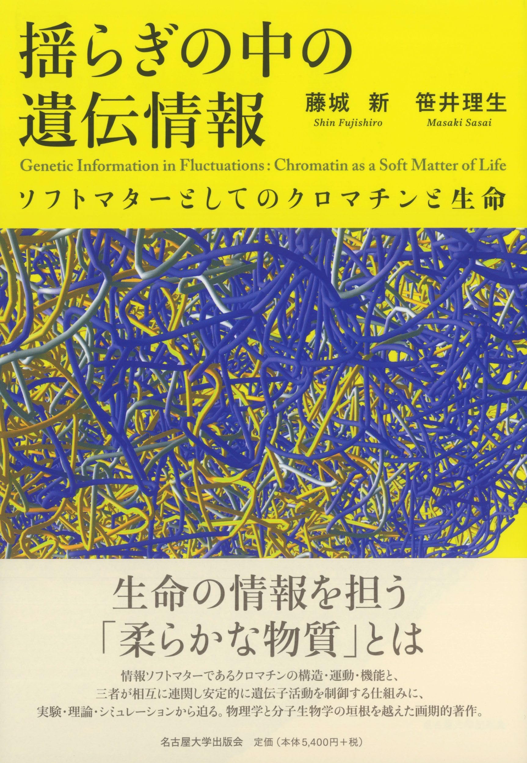 揺らぎの中の遺伝情報―ソフトマターとしてのクロマチンと生命― | 藤城