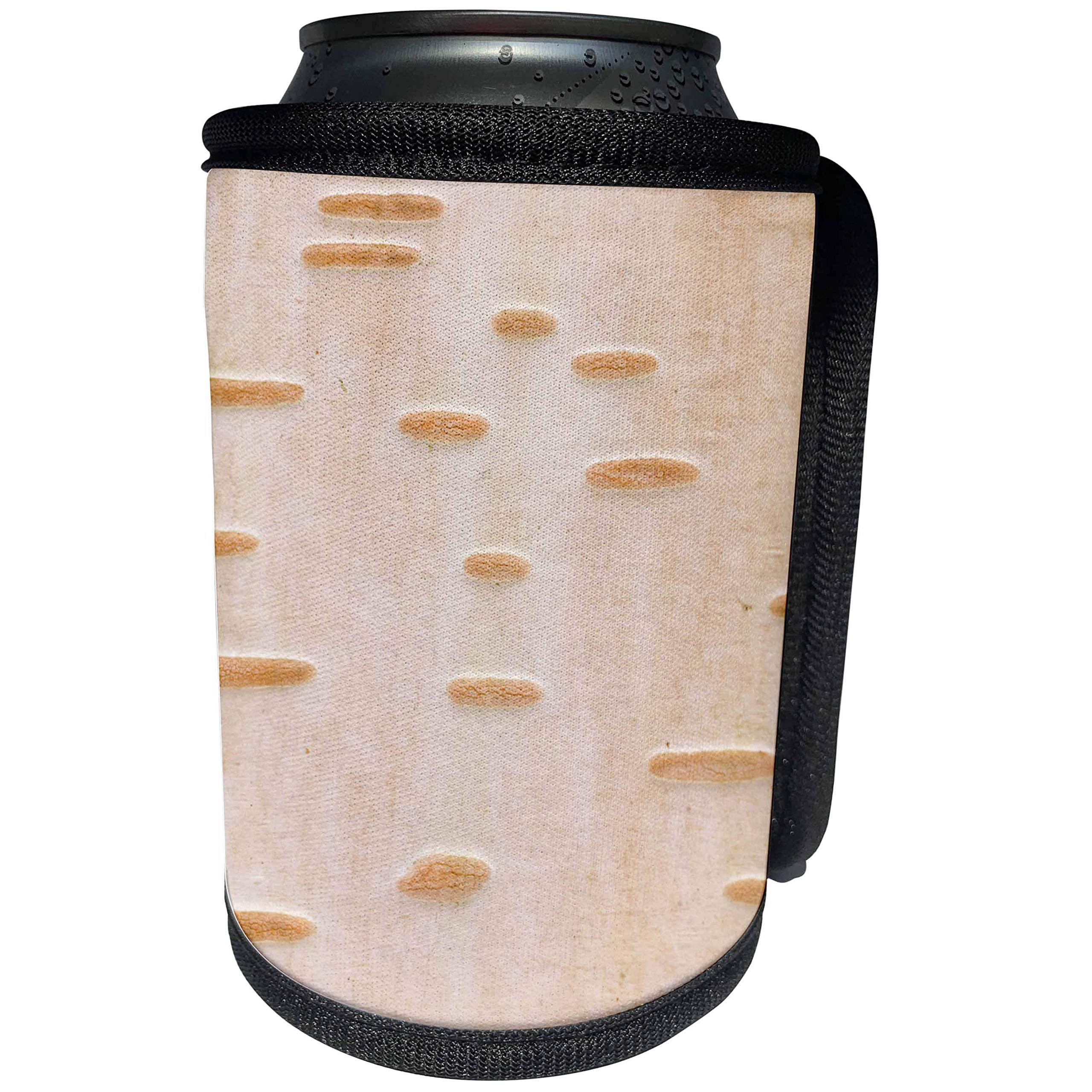Can Cooler Bottle Wrap - Birch barch pattern, Stanley Park, British Columbia-CN02 PCL0271 - Paul Colangelo Natural Patterns