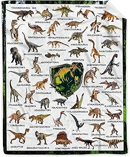 Buyyet Dinosaur Flannel Blanket for Boy Girl Dino Unique Gift Dino Room Decor Throw Blanket for Teen Kid for Couch Bed,Educational Blanket for Kid,Jurassic Dinosaur Lover Fan Gift 40'x 50' for Kid