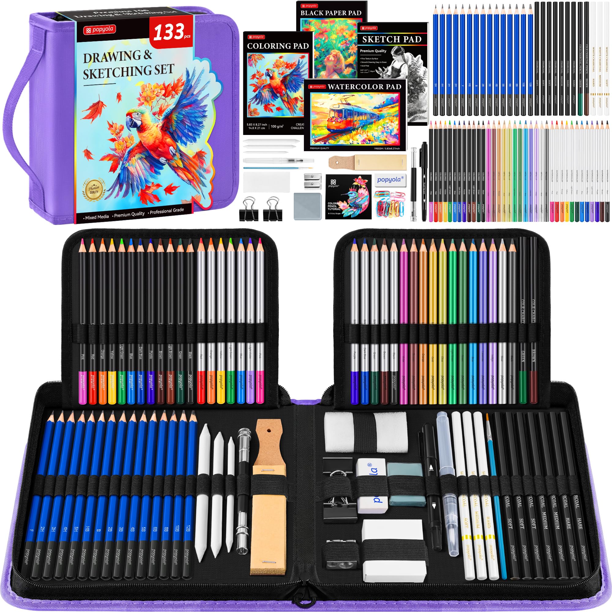 Kit de dessin de 133 pièces - Fournitures de dessin professionnelles avec carnet de croquis, livre de coloriage, bloc de papier noir, charbon de bois de couleur graphite aquarelle et crayons