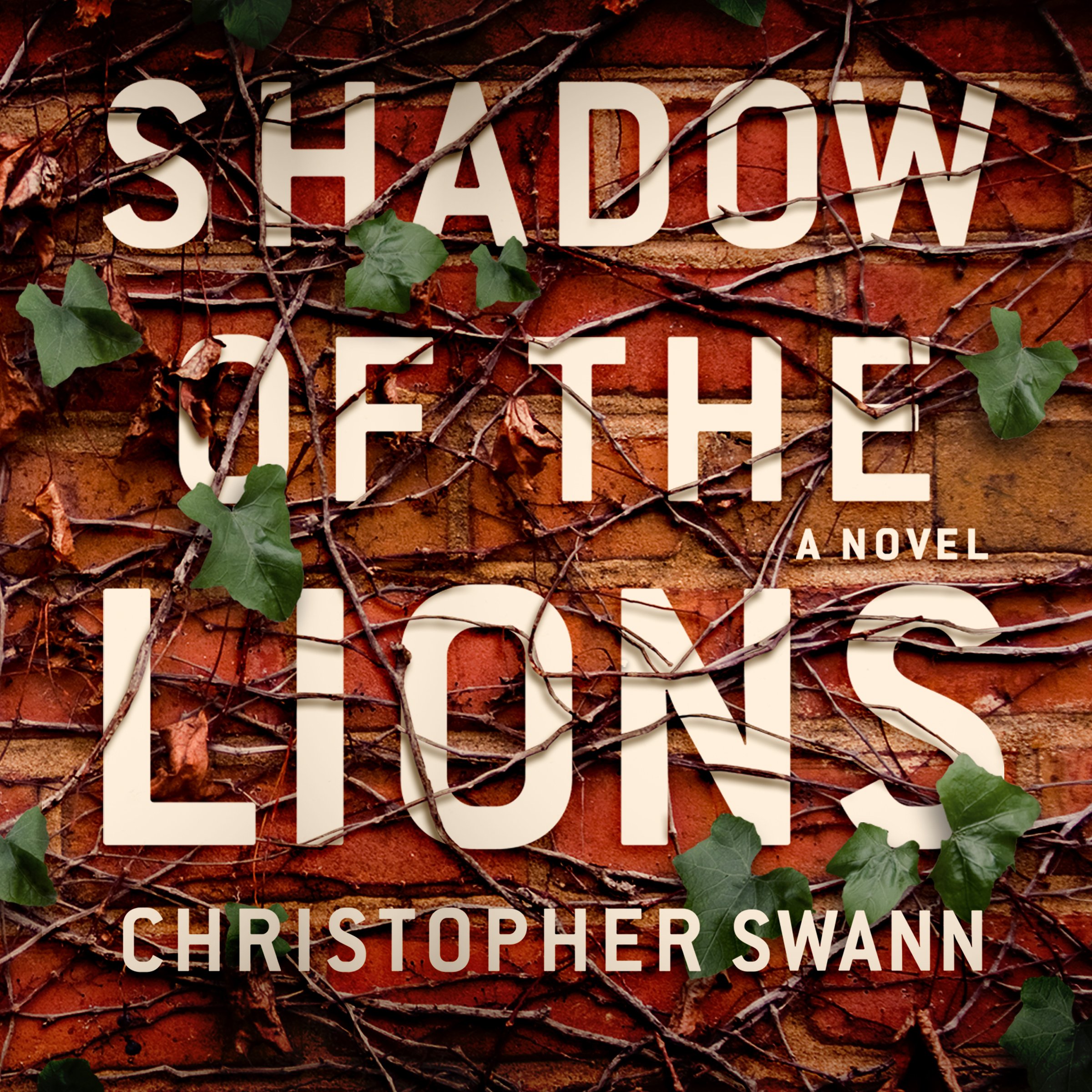Cover art for Shadow of the Lions