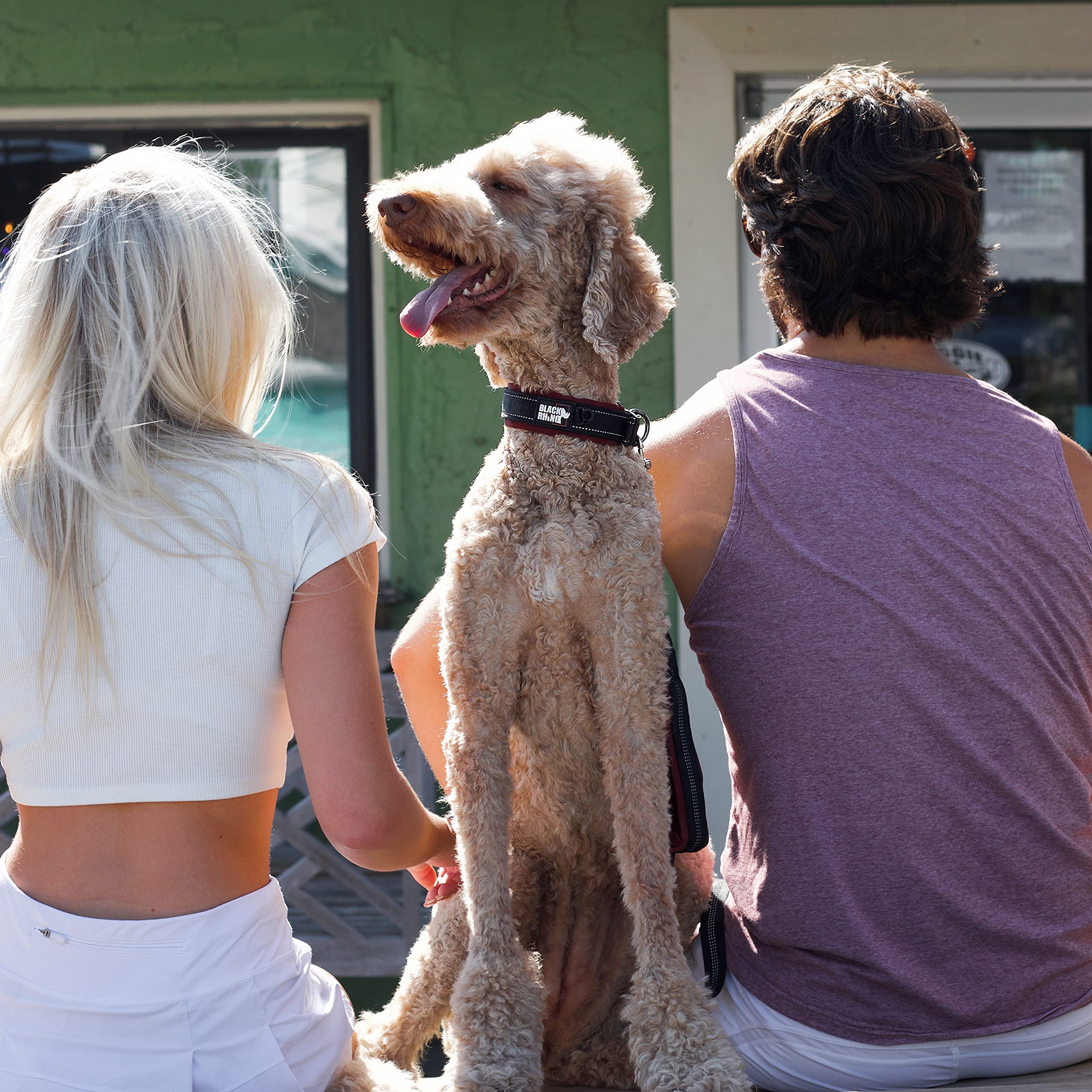 Black Rhino - Collare per cani imbottito in neoprene ultra morbido, per tutte le razze, confortevole, resistente, regolabile, riflettente, impermeabile (XL, Bordeaux/Nero)