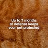 Collar ADAMS Plus contra pulgas y garrapatas para gatos, prevención de 7 meses, ajustable para gatos y gatitos, mata pulgas y garrapatas, 1 unidad 3