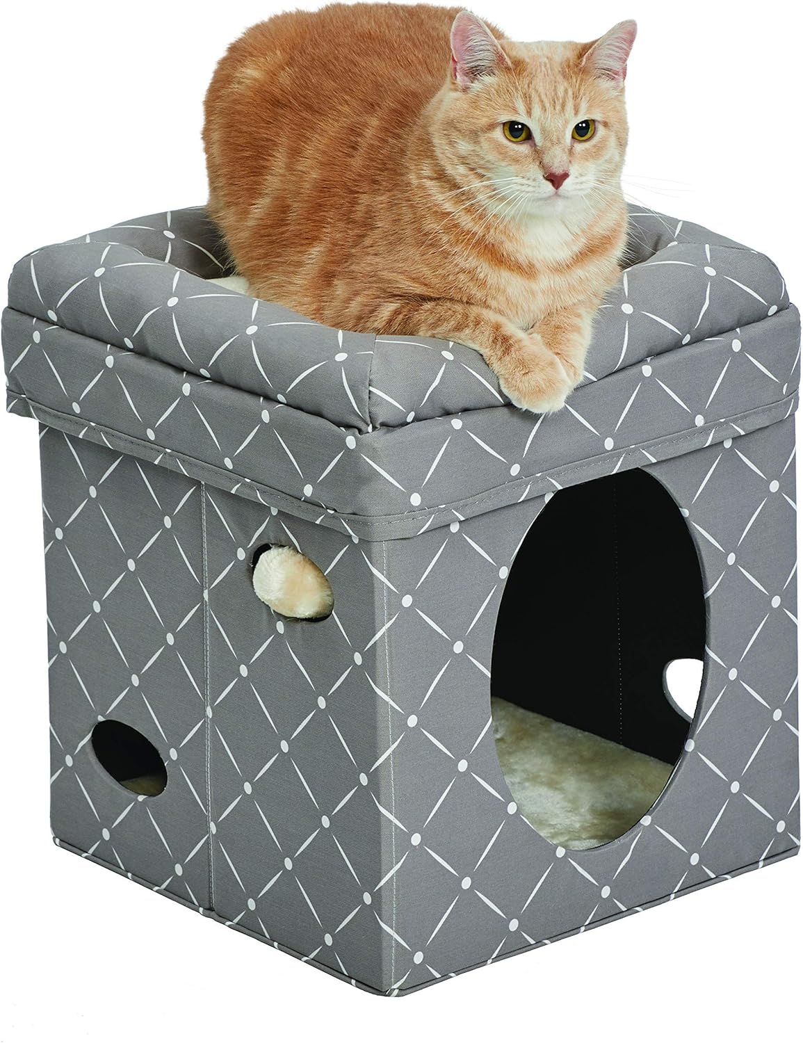single cat condo