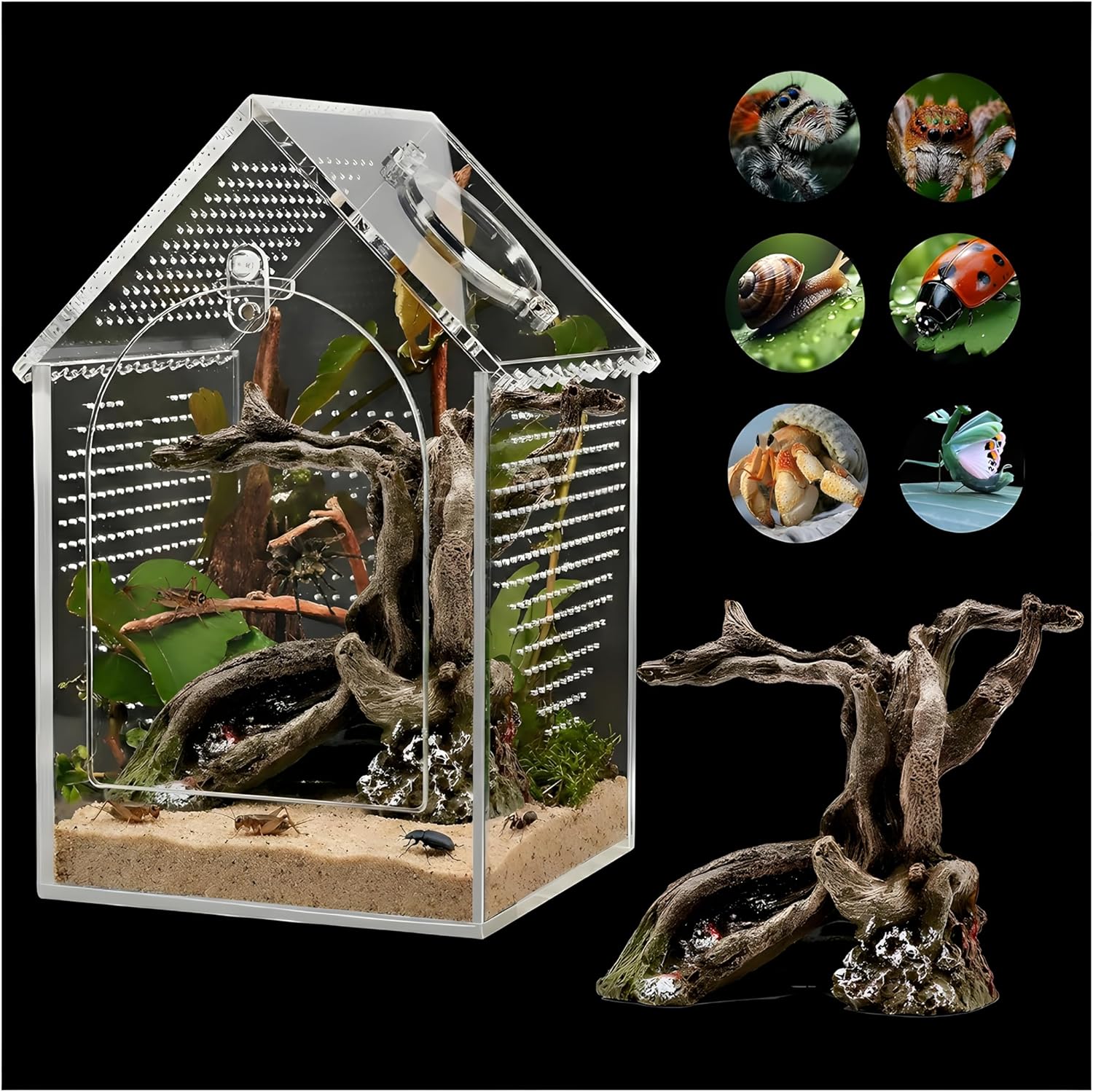 Jumping Spider Enclosure (5" *5" *8") Warp-Proof Seamless Acrylic Tarantula Terrarium with Magnetic Door & Feeding Hatch for Praying Mantis,Snail,Hermit Crabs,Reptile(Includes Decorative Accents)