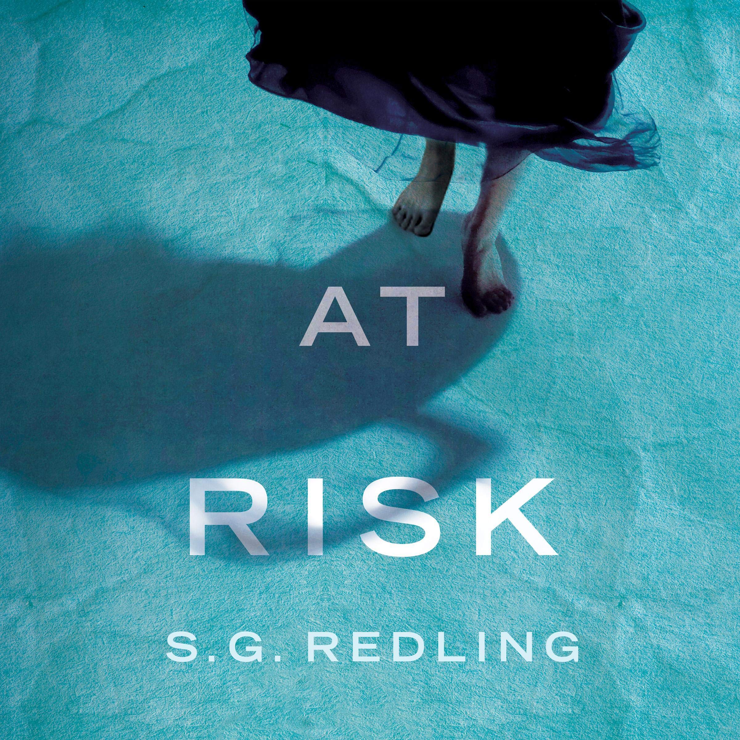 Cover art for At Risk