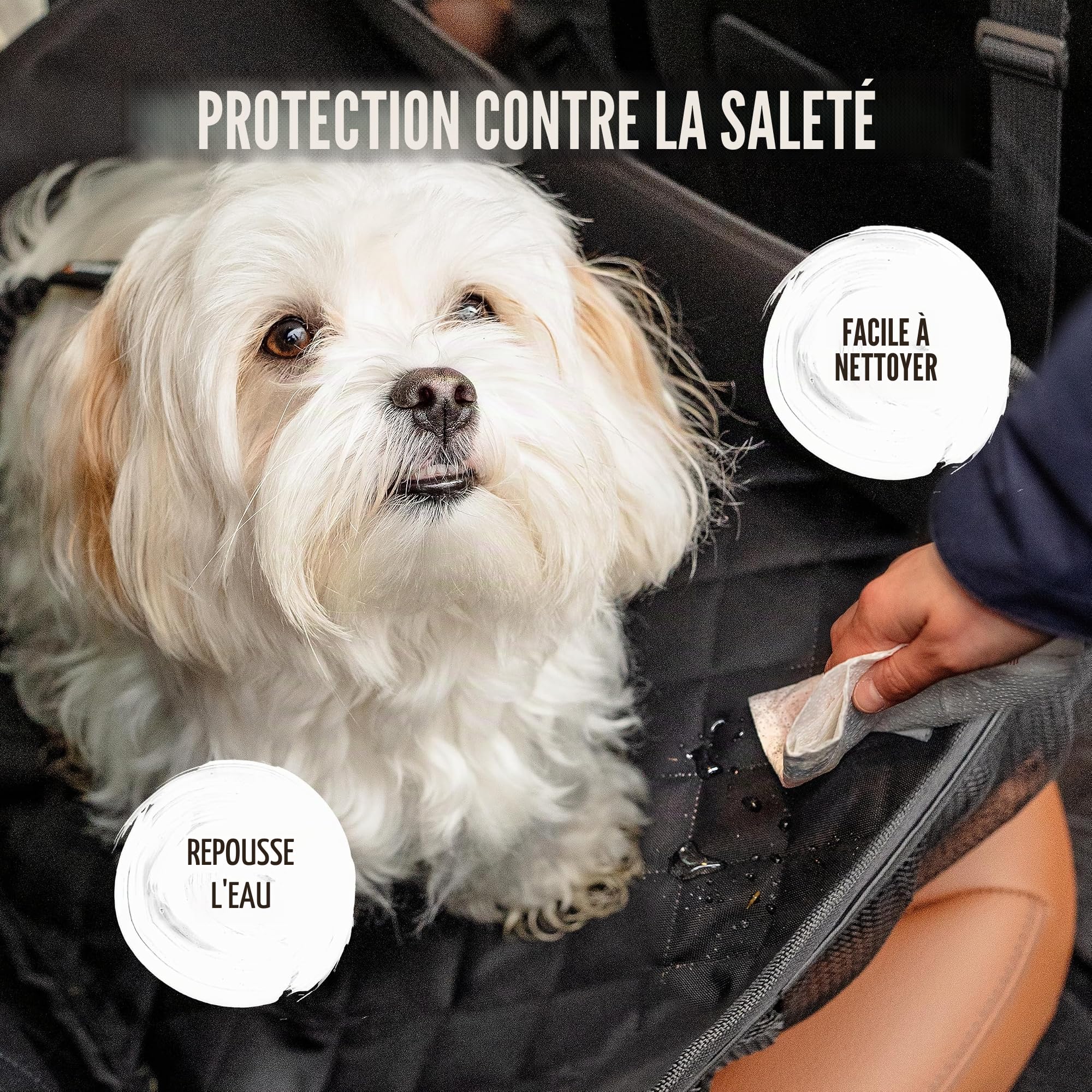 Rudelkönig Siège Auto Chien - Panier Voiture Imperméable pour Petits Chiens | Rehausseur chien voiture - fixation ceinture incluse - fond anti-dérapant - matière résistante aux griffures