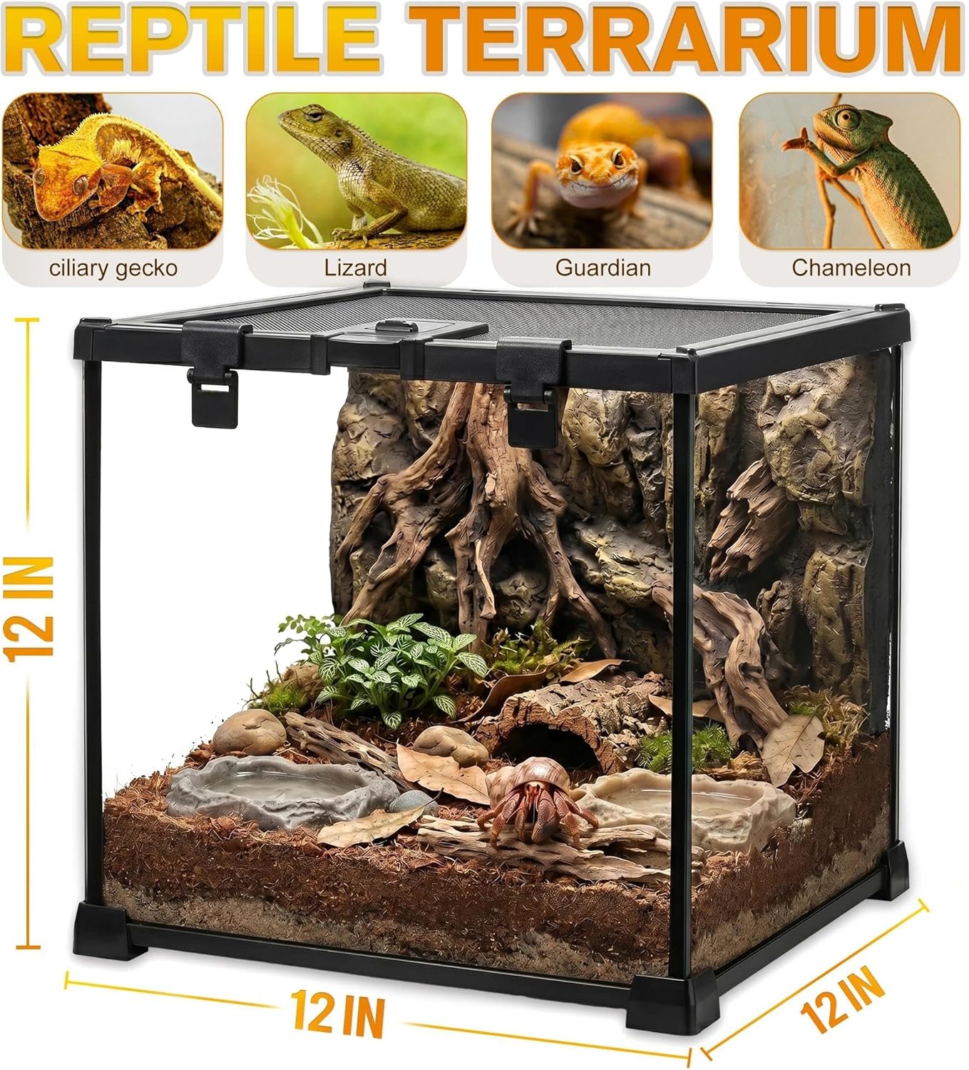 12"x12"x12" Reptile Terrarium, Escape-Proof Glass Full-View Vivarium for Tropical Invertebrates Such as Hermit Crabs, with Escape-Proof Lock & Feeding Hatch