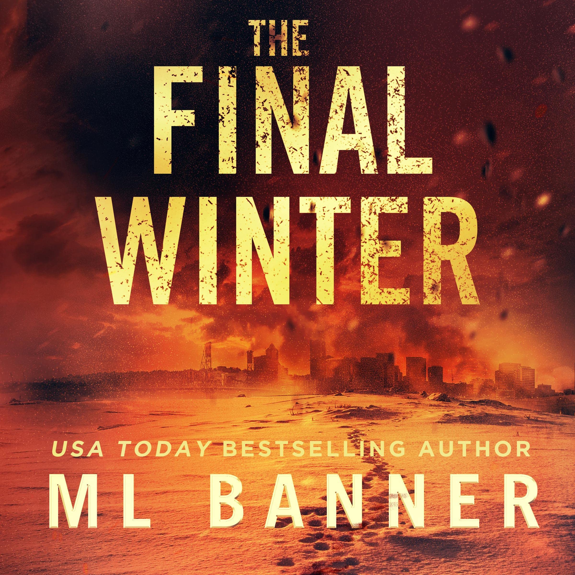 Cover art for The Final Winter