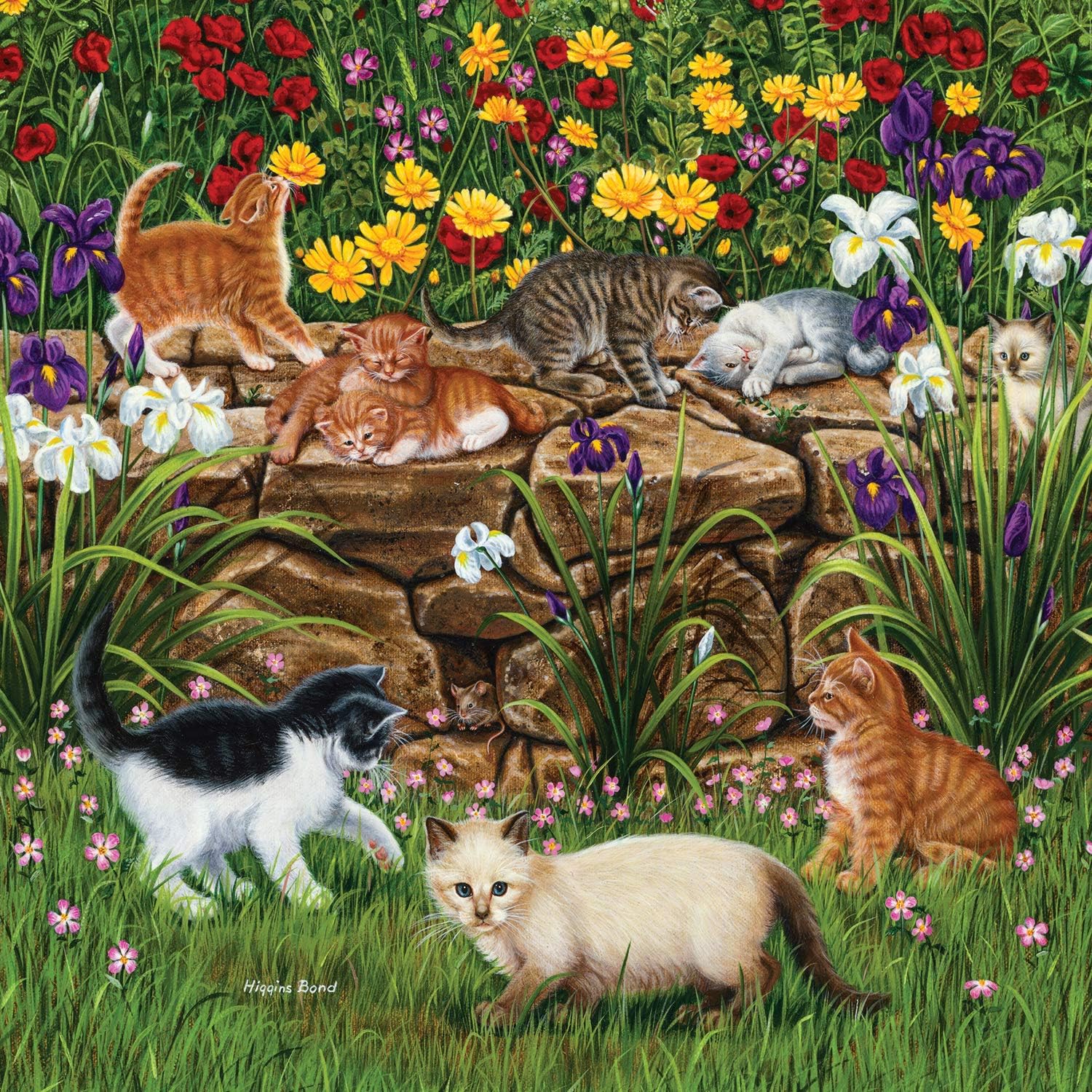 SUNSOUT INC - Wall Flowers - 500 pc Jigsaw Puzzle by Artist: Higgins Bond - Finished Size 19" x 19" - MPN# 45851