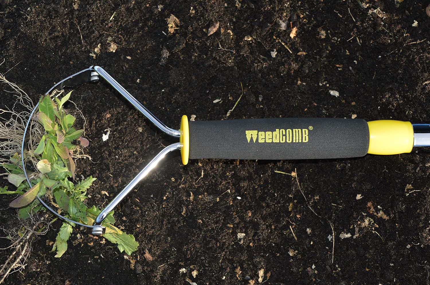 BOTARO Axolotl Plush Toy from Gravity Falls Zambia Ubuy