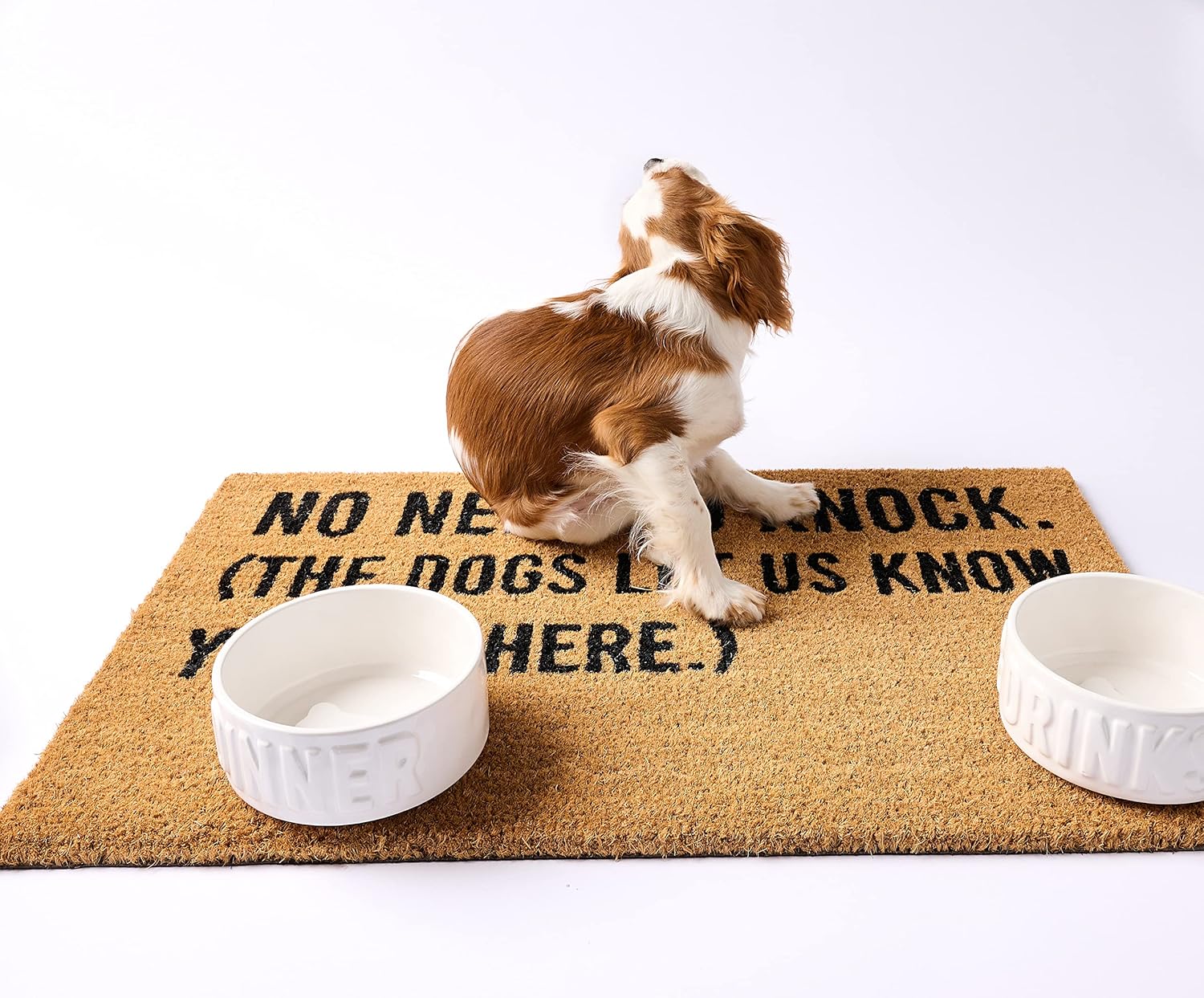 Mud Pie Funny Dog Coir Door Mat, Knock…