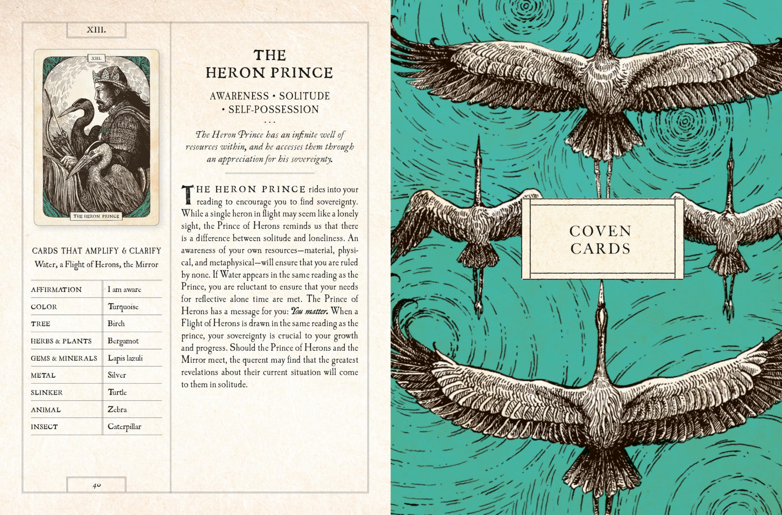 The Black Bird Oracle Deck: A 52-Card Deck and Guidebook