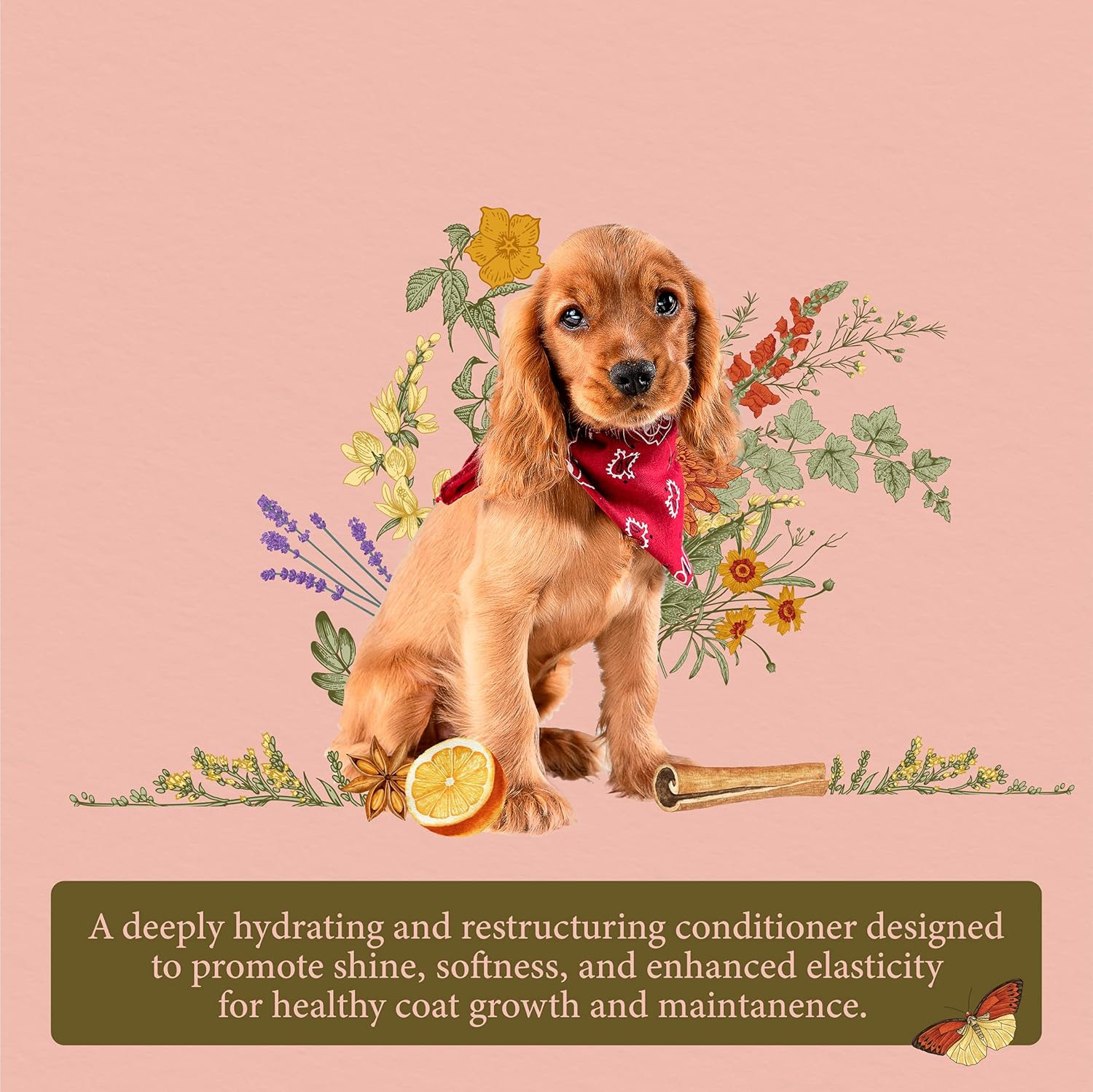 Hydra Senses-Serenity Conditioner