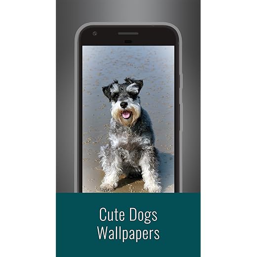 Perros lindos Fondos de pantalla