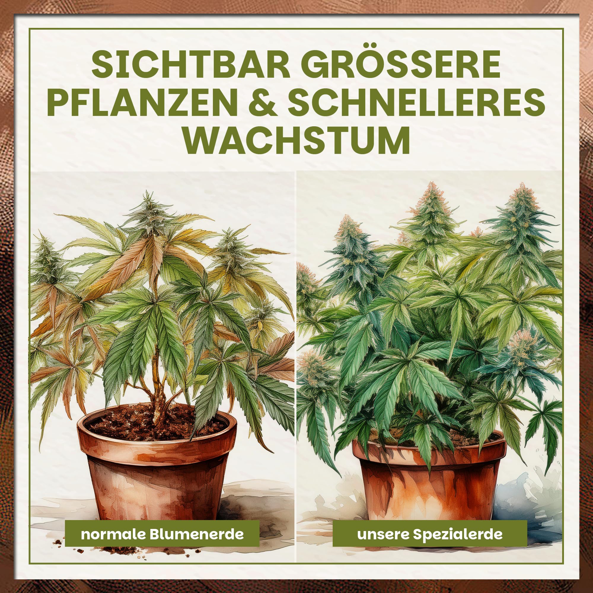 Green Home Cannabis & Hanferde 72 Liter | All Mix Erde für Wachstum & Blüte | Perfekt für Autoflower | Mit Perlite, Weißtorf & Kokosfaser | Langzeitnährstoffe | Optimaler pH-Wert: 5,8