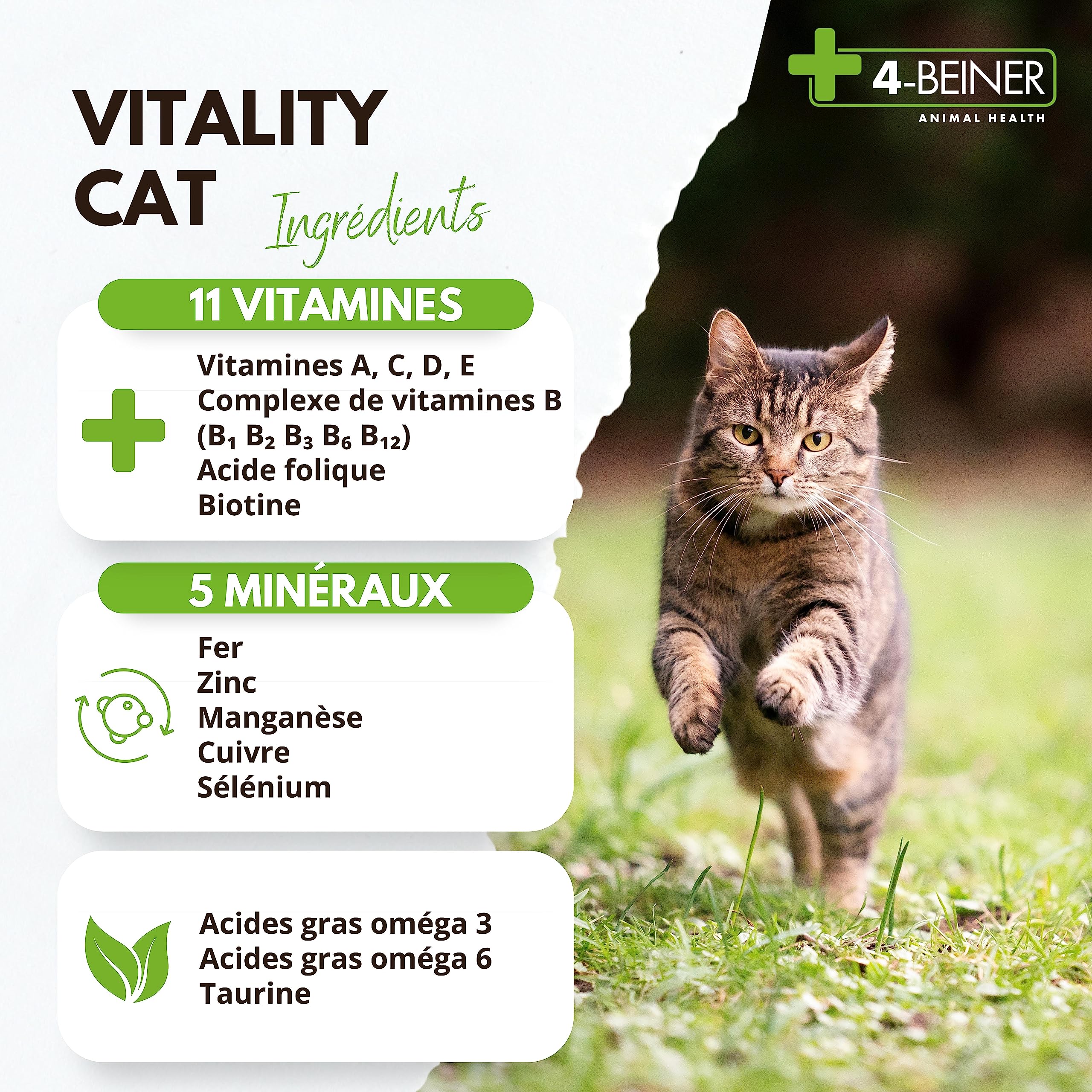 4-BEINER Vitality-Cat, 11 vitamines pour Chats Plus oméga 3, oméga 6, Zinc, sélénium, manganèse, cuivre, Fer, Taurine, multivitamines Chat, Poudre