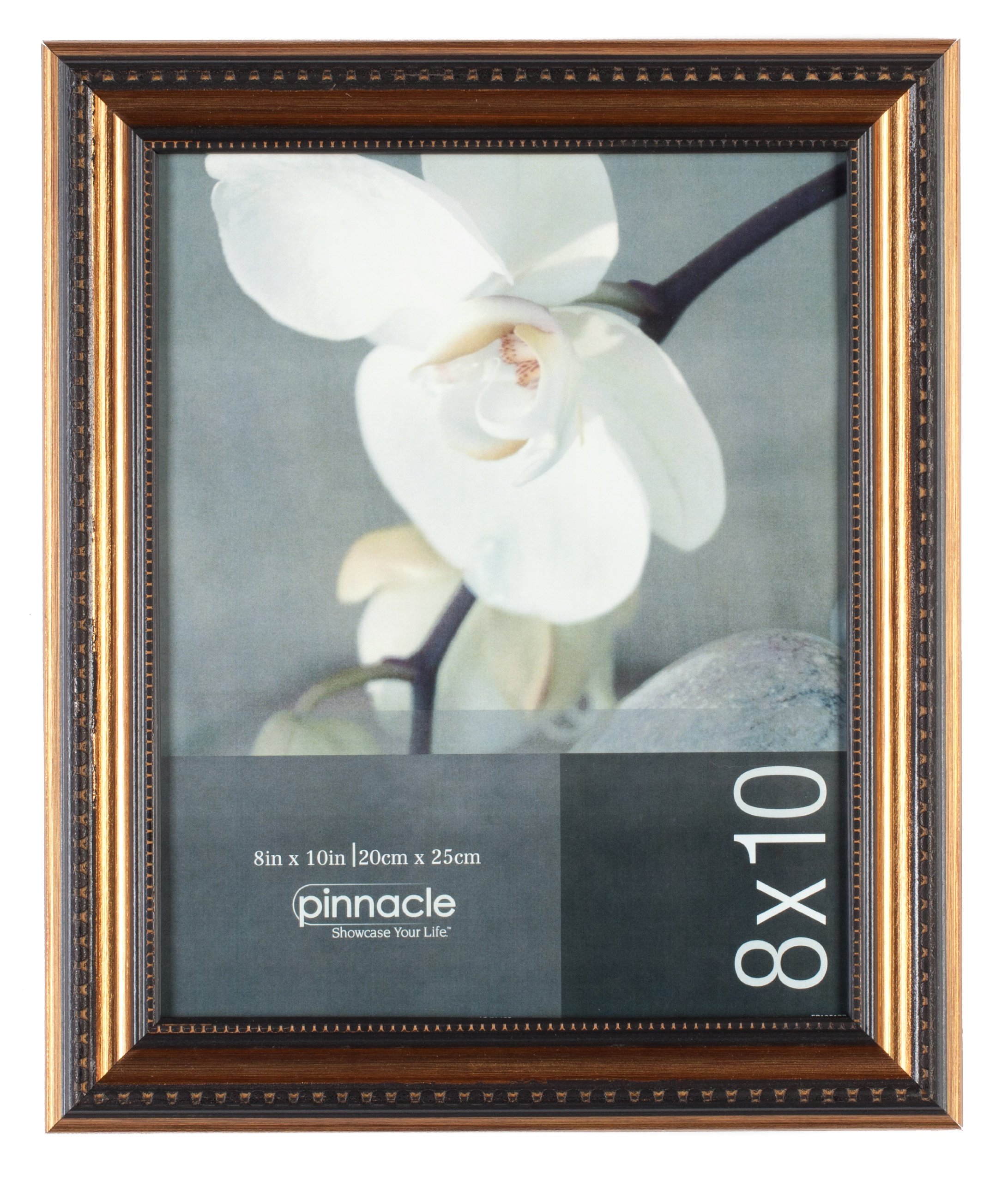 Pinnacle Frames Antique Bronze Frame with Beaded Edge, 8 inch by 10 inch