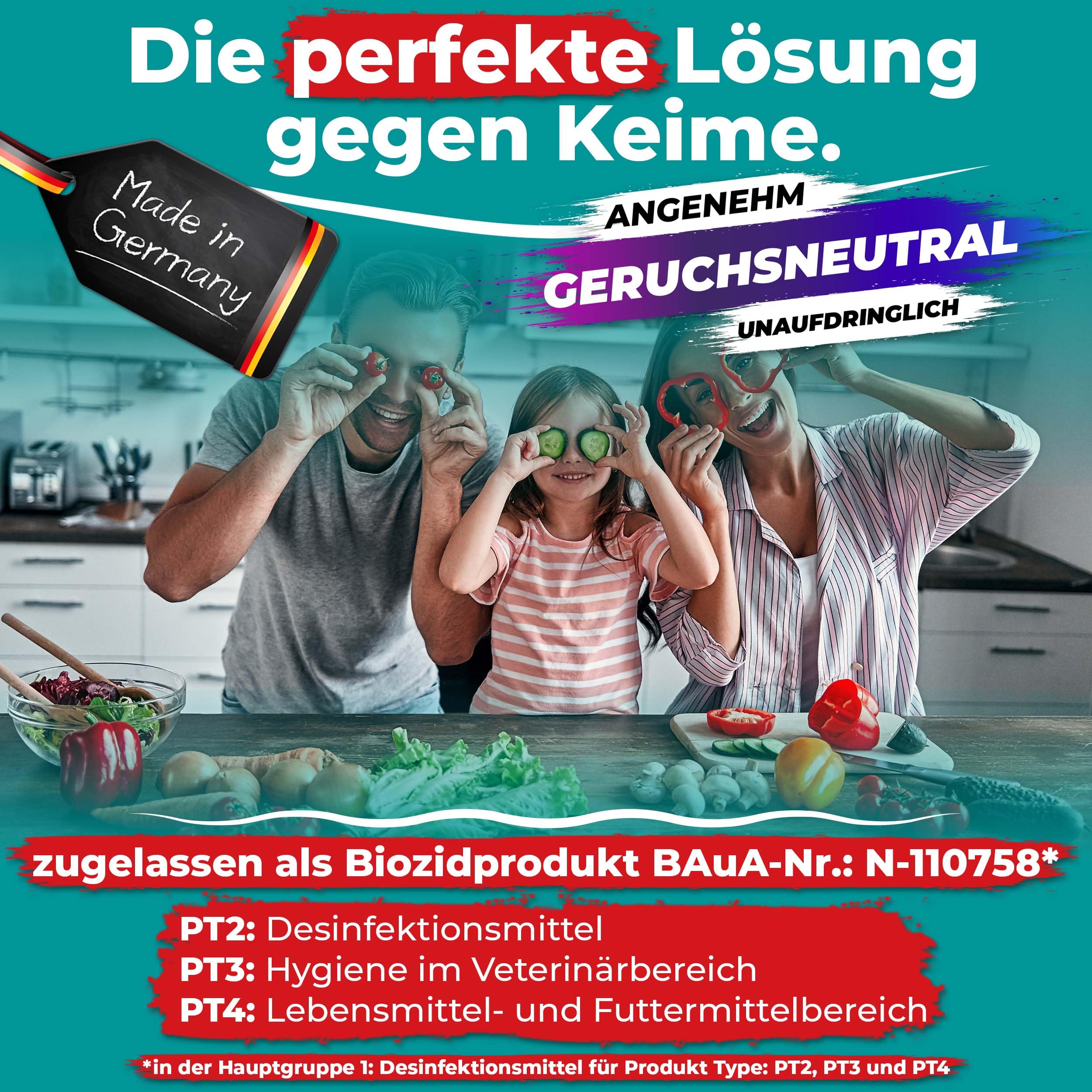 Schnelldesinfektion Spray Universal Flächen-Desinfektionsmittel für Flächen wirkt gegen Bakterien, Viren, Pilze, Keime Desinfektion von Oberflächen, 12L - 2x Sprüh