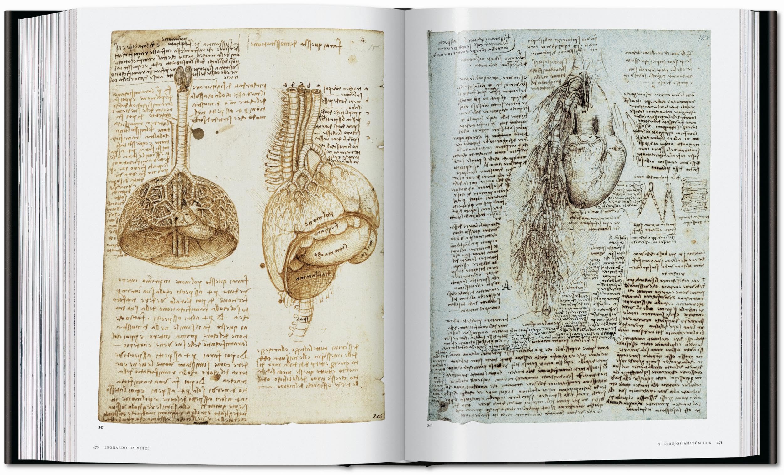 Leonardo: Obra pictórica completa y obra gráfica