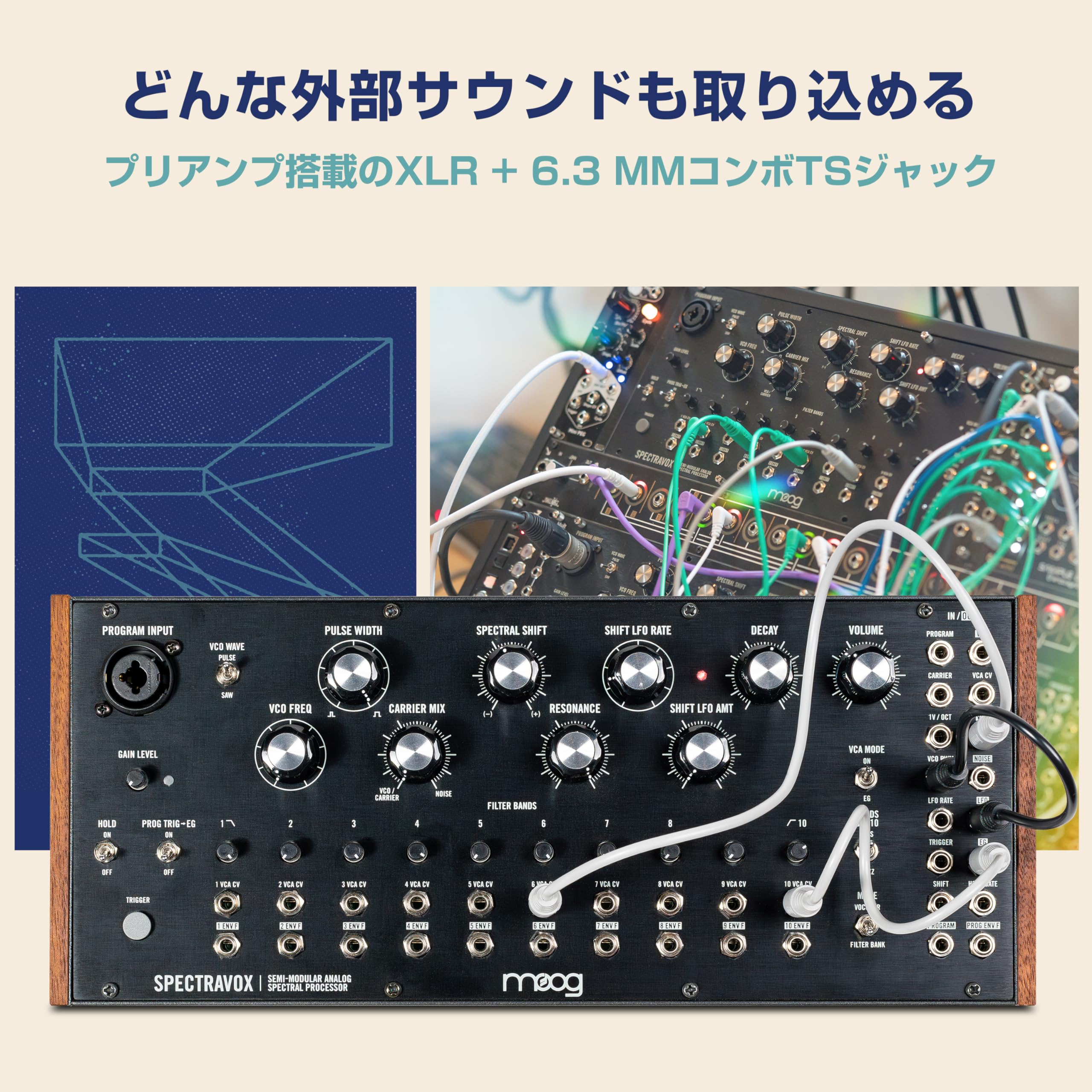 Amazon.co.jp: MOOG Spectravox セミモジュラー アナログ スペクトラル