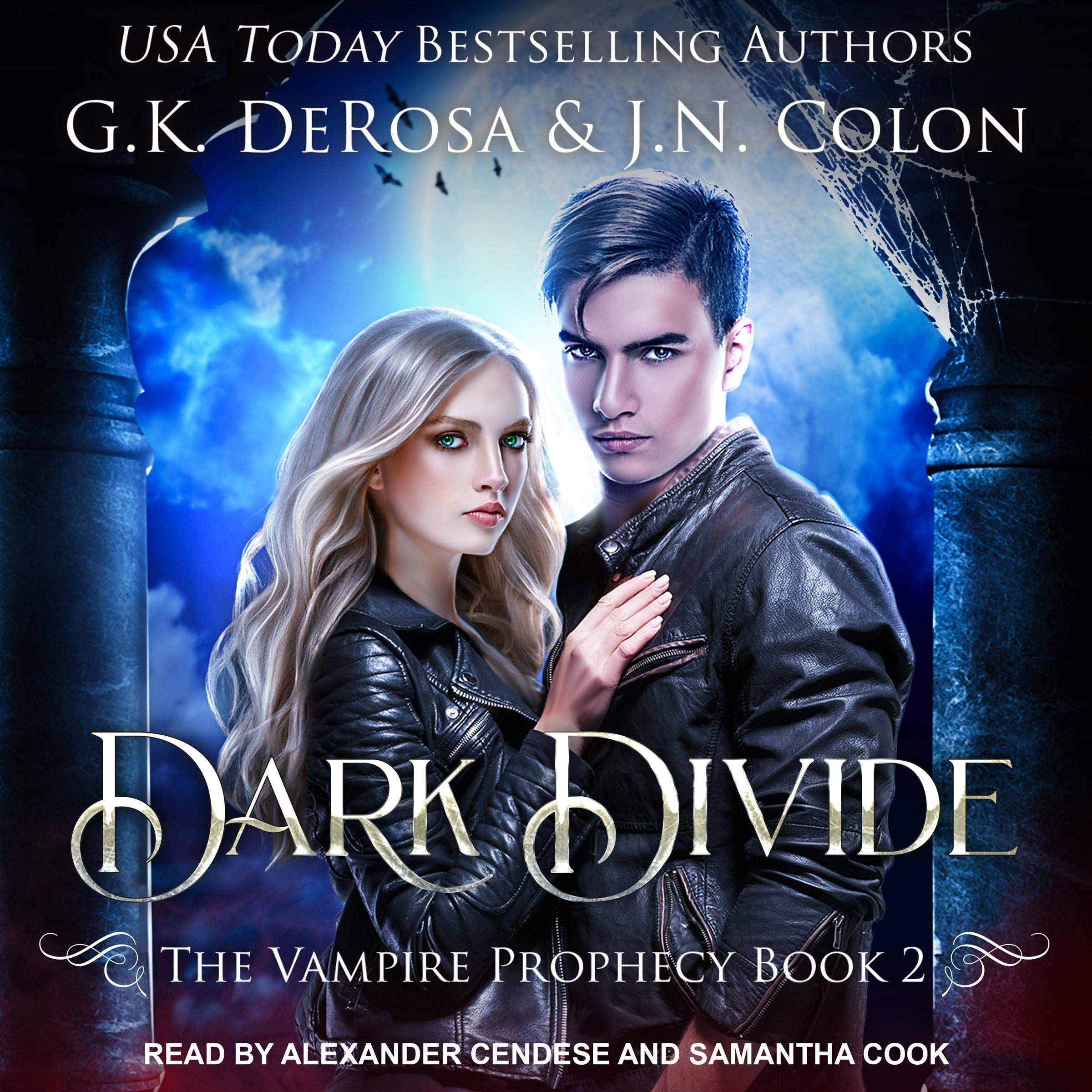 Cover art for Dark Divide