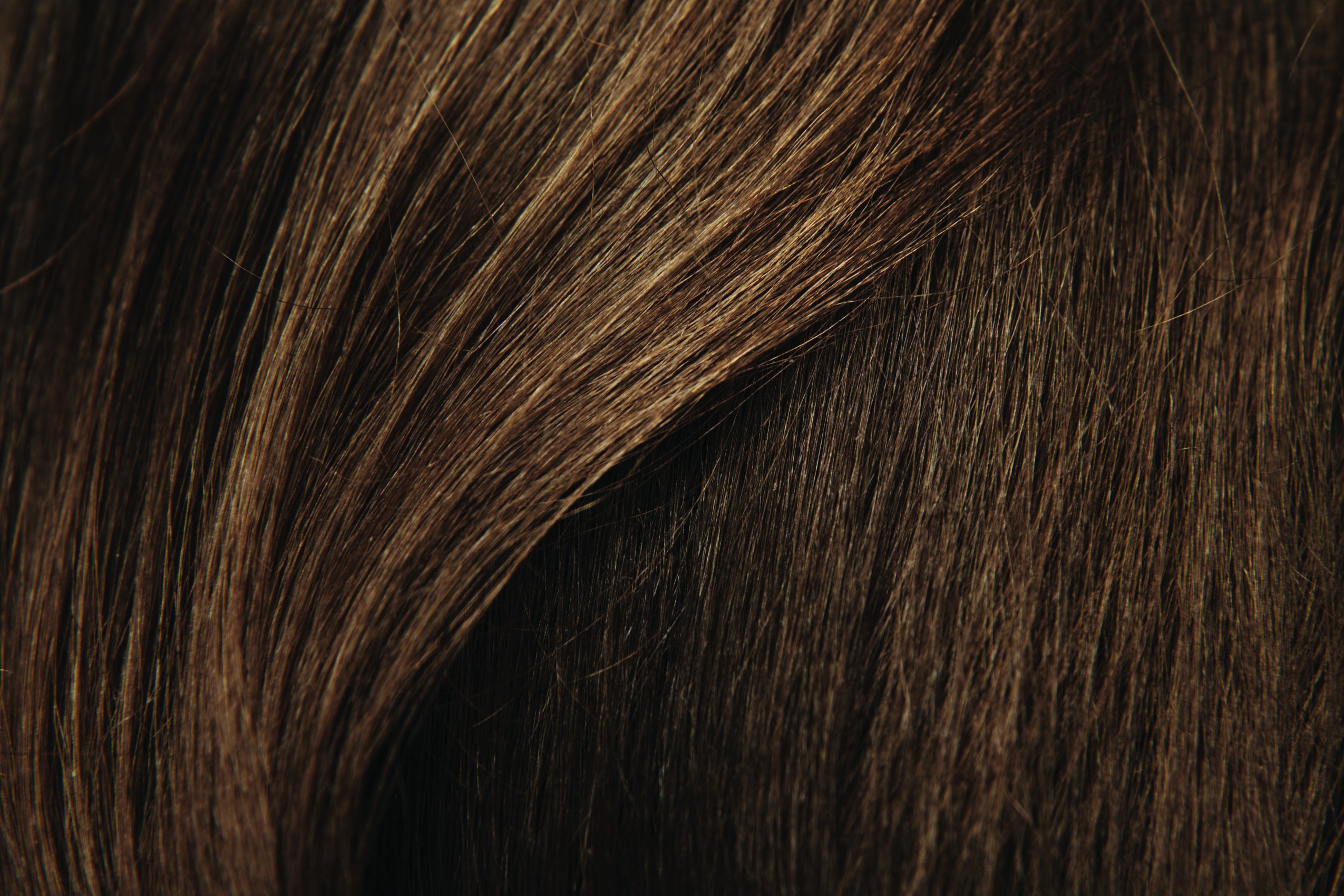 Mini & Jumbo - 1x 400ml + 1x 100ml Hairfor2 (Dunkelblond)