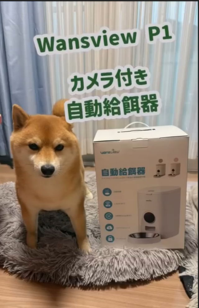 Amazon.co.jp: Wansview: 【ペット自動給餌器】