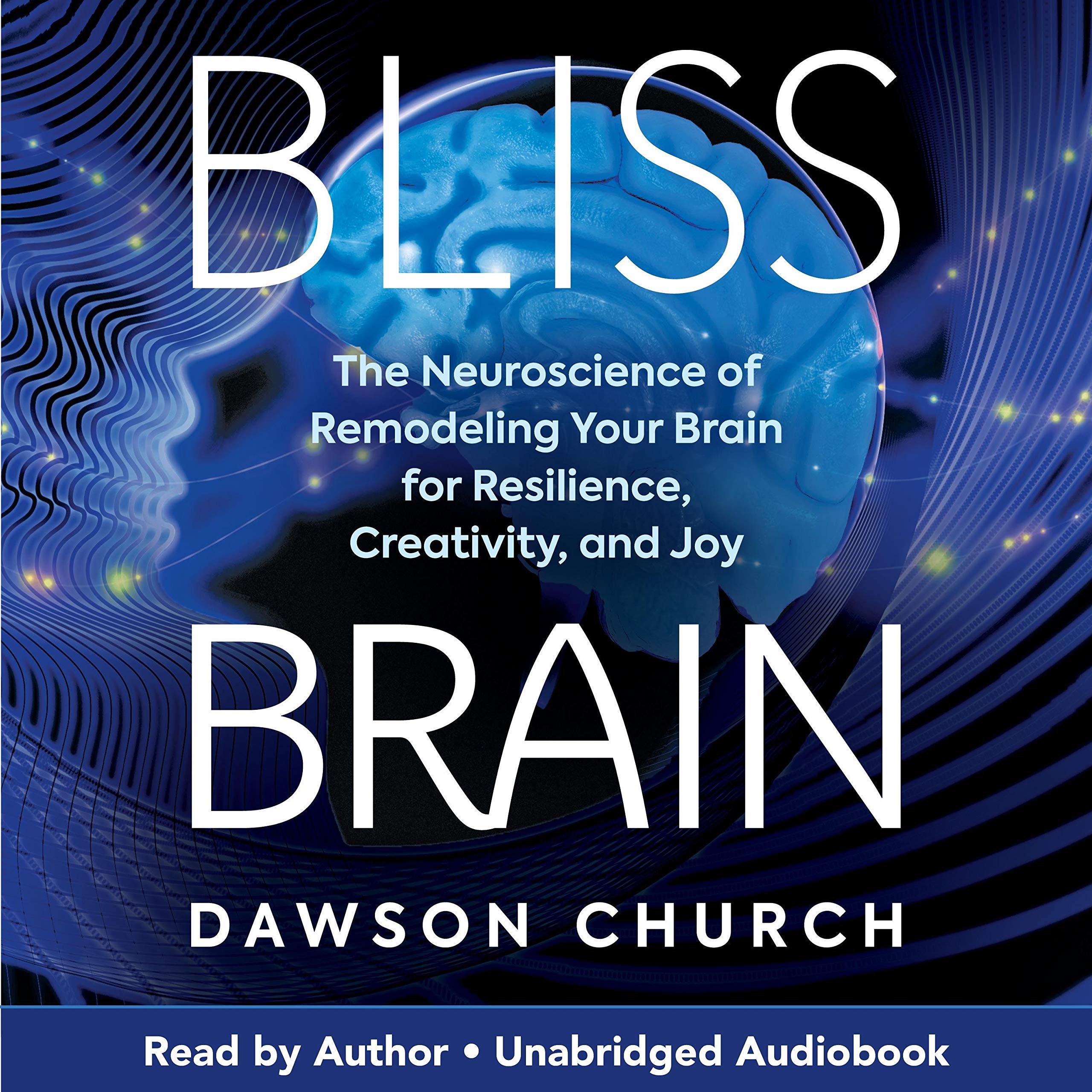 Cover art for Bliss Brain