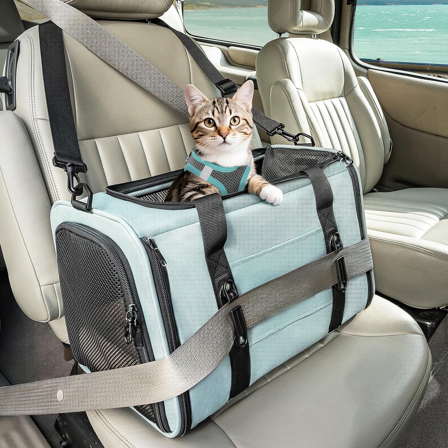 Petsfit Airline-Approved Cat Carrier: Safe, Portable & Breathable Petsfit Airline-Approved Cat Carrier: Safe, Portable & Breathable