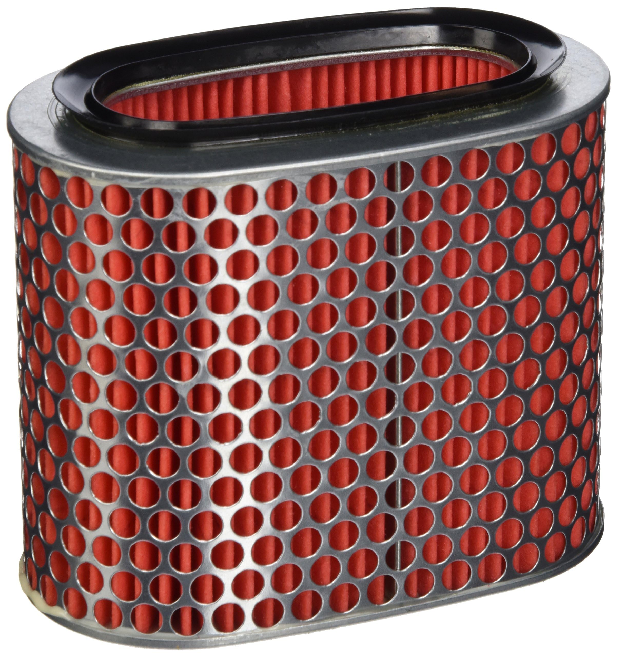 Amazon.com: Honda 17215-MM8-020 Air Filter : Automotive