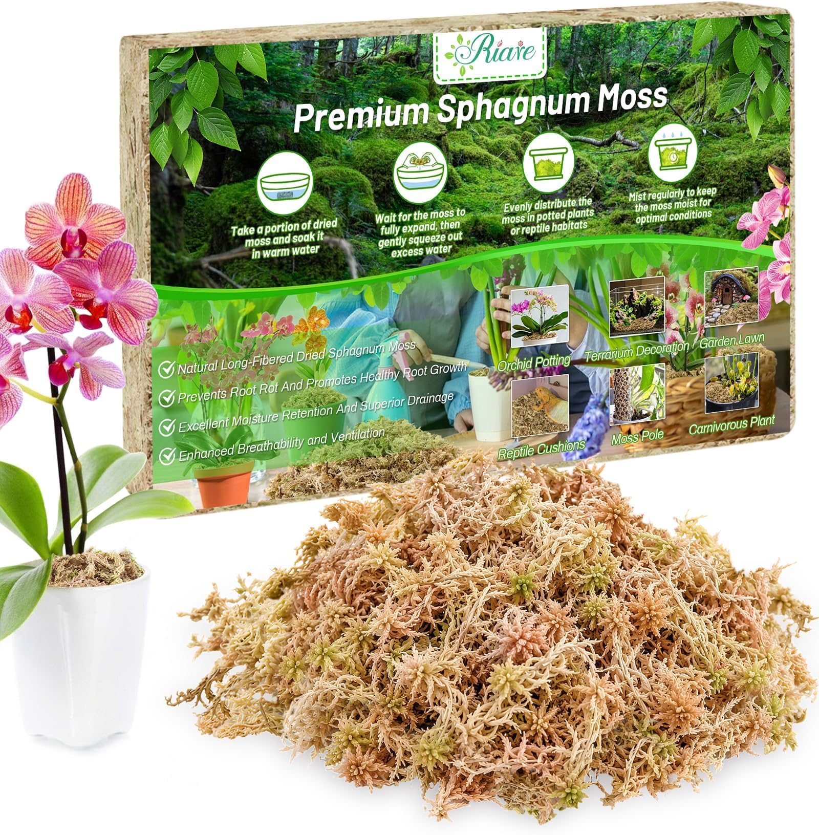 Riare 3.88oz Premium Sphagnum Moss for Plants-Natural Long Fiber Plant Moss | High Expansion, Moisture Retention & Drainage, Dried Orchid Moss for Succulent, Carnivorous, Ferns, Reptiles & Terrariums