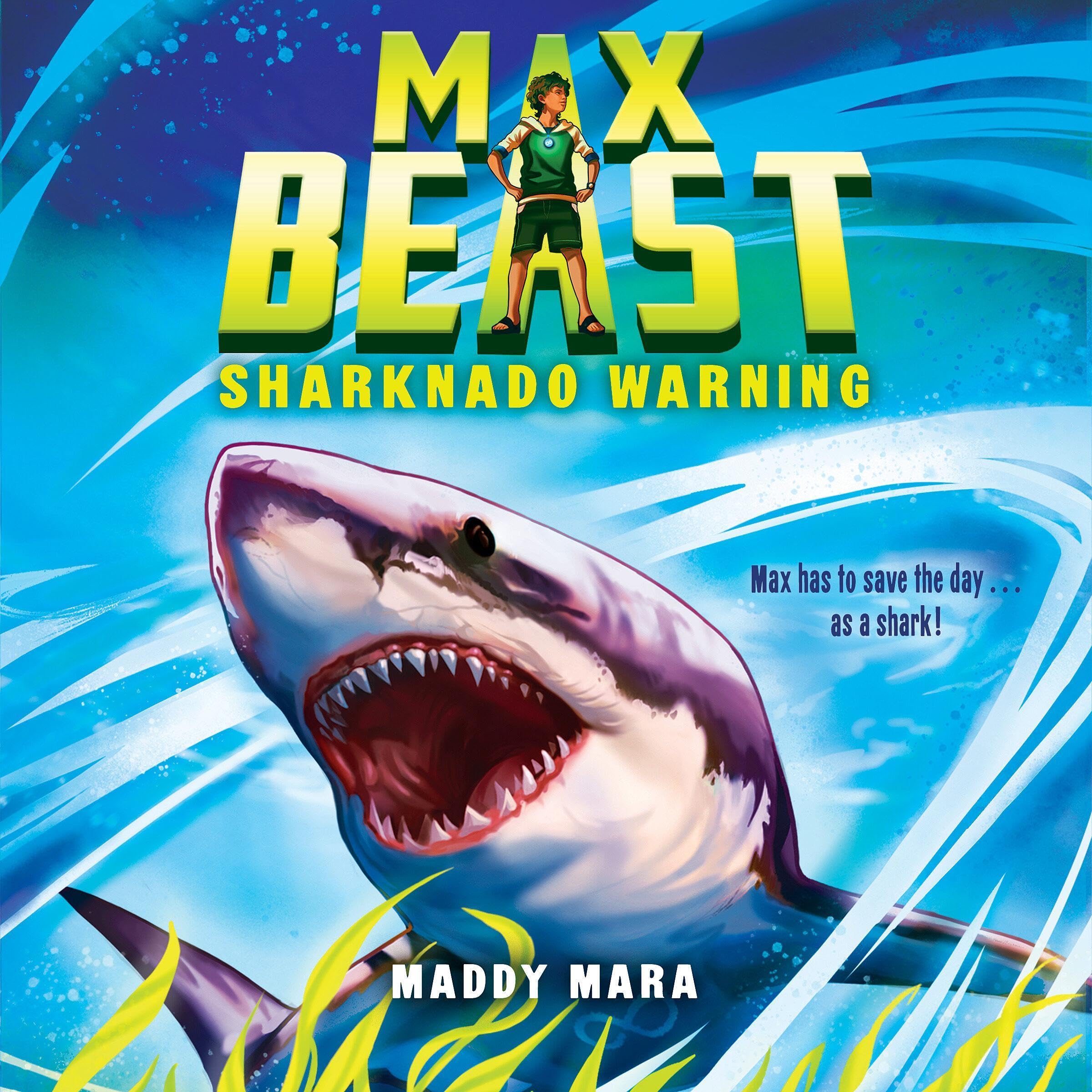Cover art for Sharknado Warning