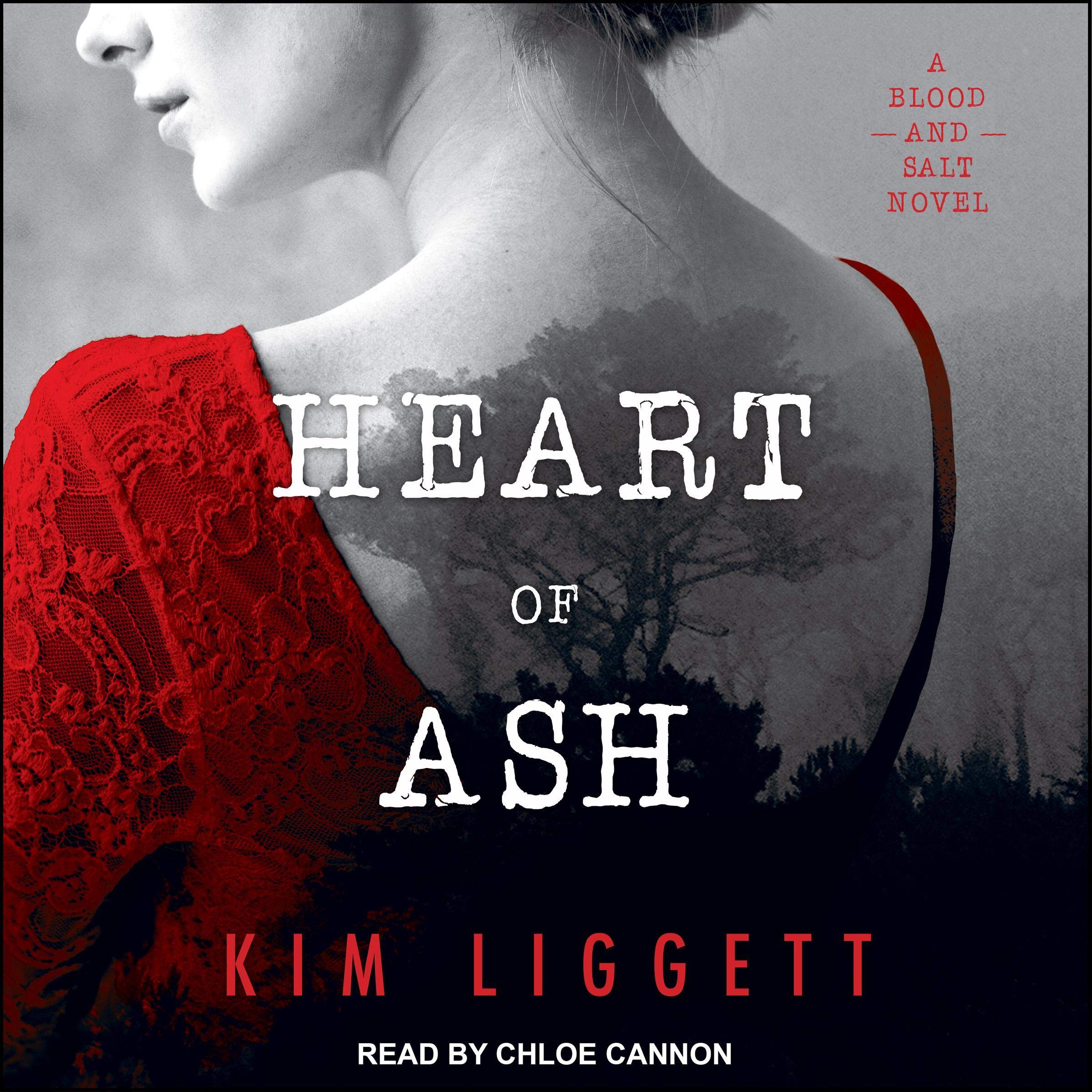 Cover art for Heart of Ash