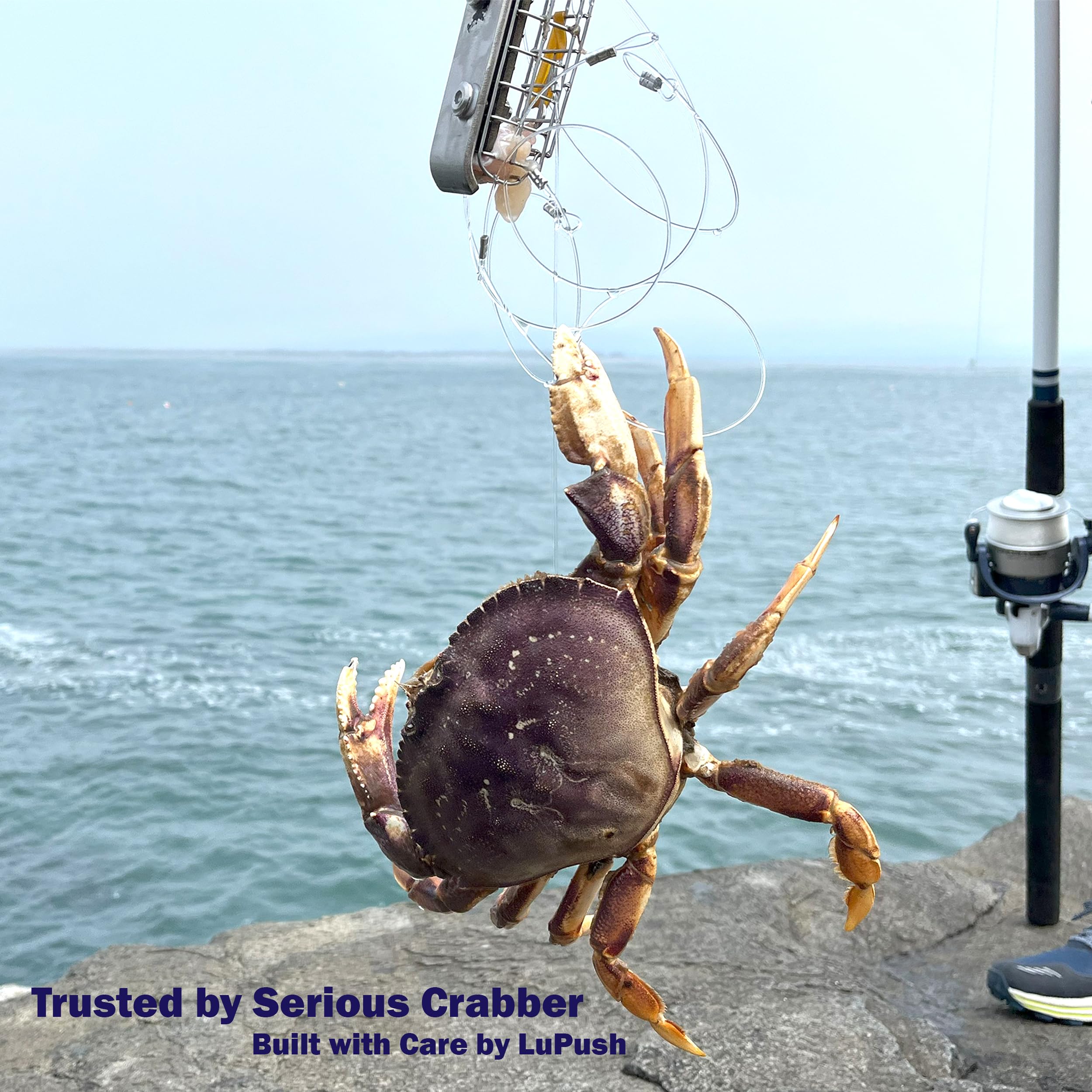 best budget saltwater spinning reels Surf Fishing Best Budget Saltwater Spinning Combo The Best Fishing Reels Of  2026 Reviews By Wirecutter