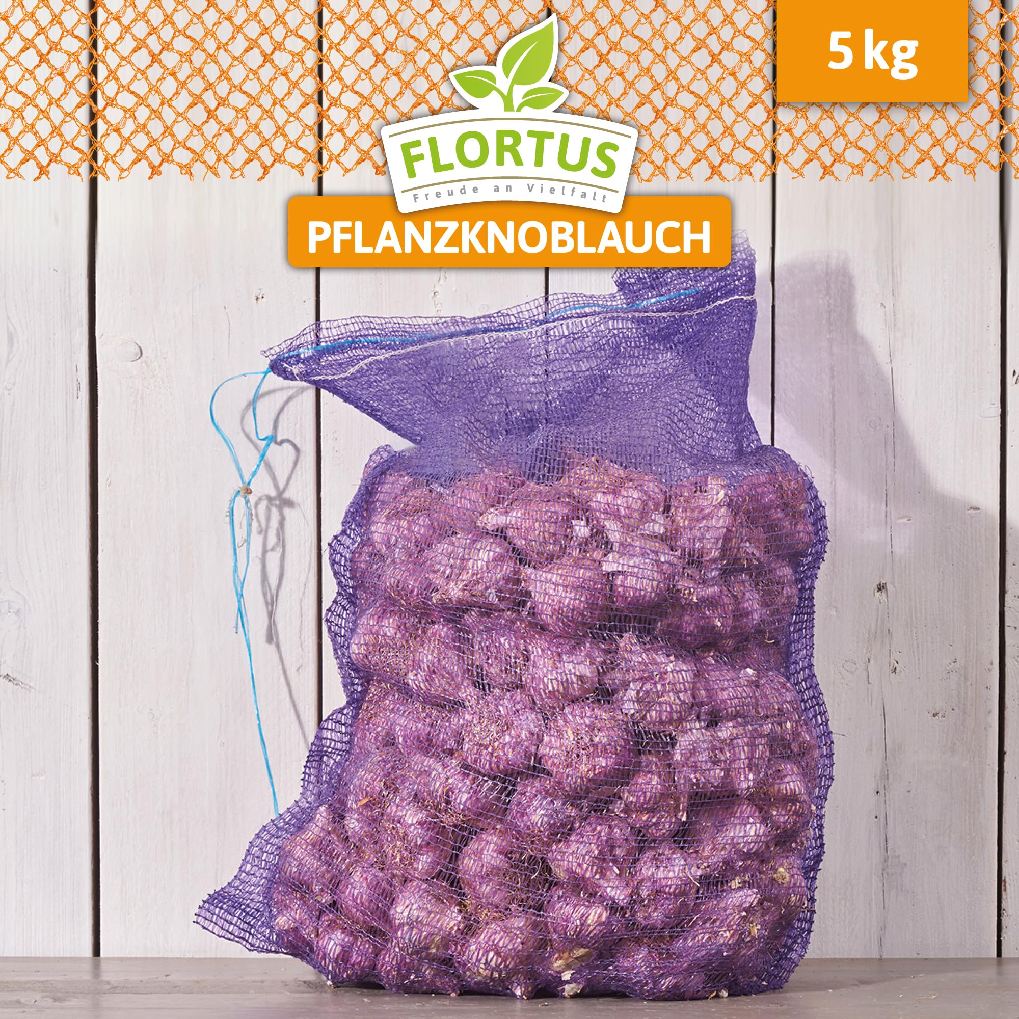 FLORTUS – Winterpflanzknoblauch Ljubascha 5 kg zertifiziertes Pflanzgut, keine Samen – Knollengröße 40-50 mm – winterhart, intensiv-scharfer Knoblauch aus Ukraine