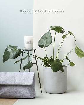 Meraki Wood and Jasmine Scented Candle, 8 x 10.5 cm, Sandal Wood & Jasmine