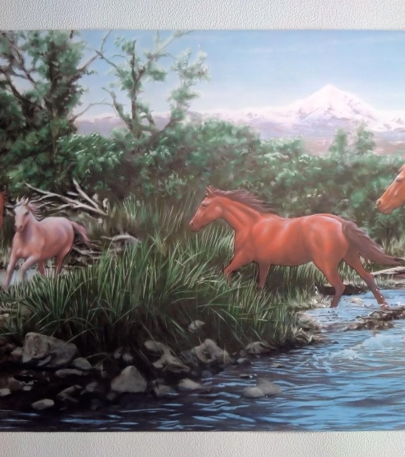 Wild Horses Wallpaper Border - Horse Crossing Stream