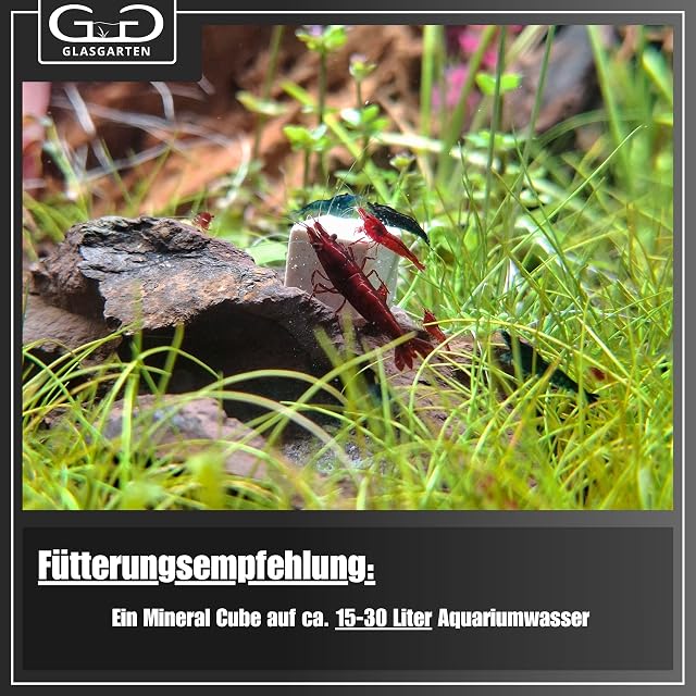 Foto 6 de 7 de GlasGarten Mineral Artemia Cubes - 8 uds.